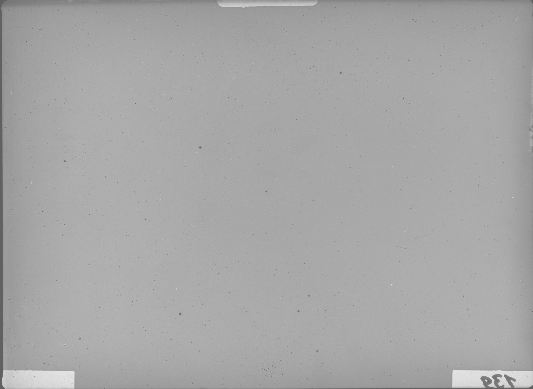 Plate preview