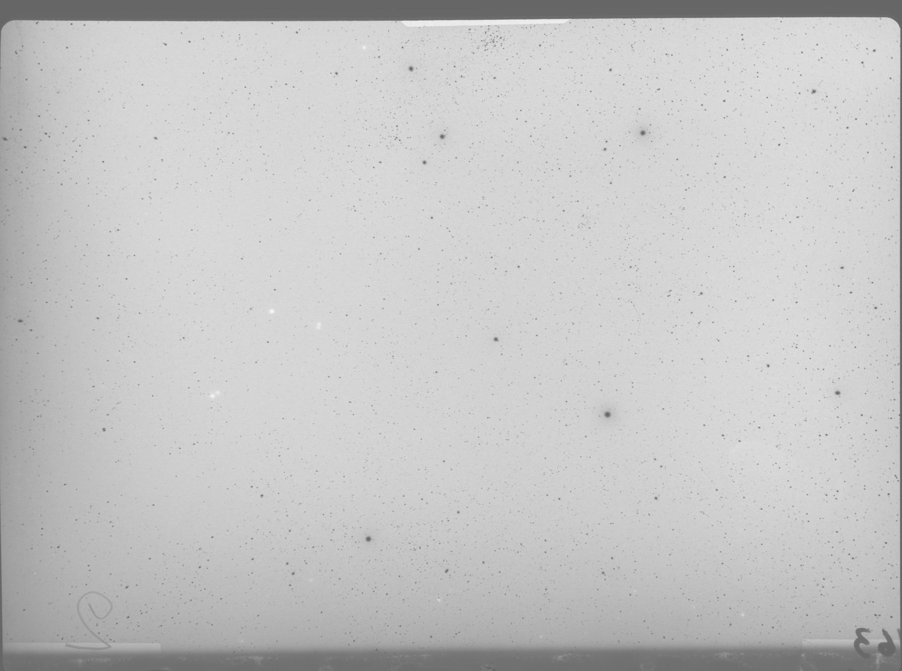 Plate preview