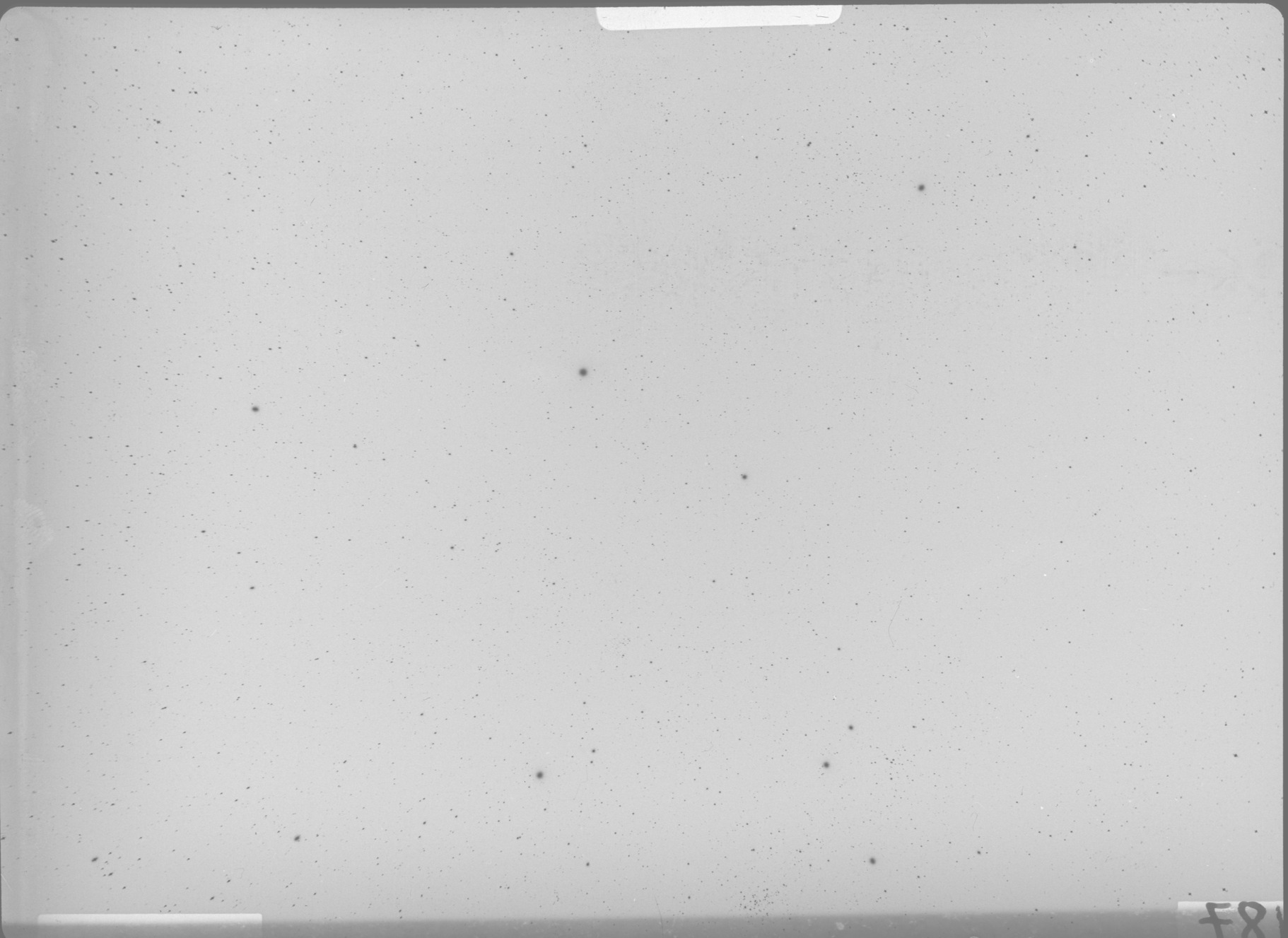 Plate preview