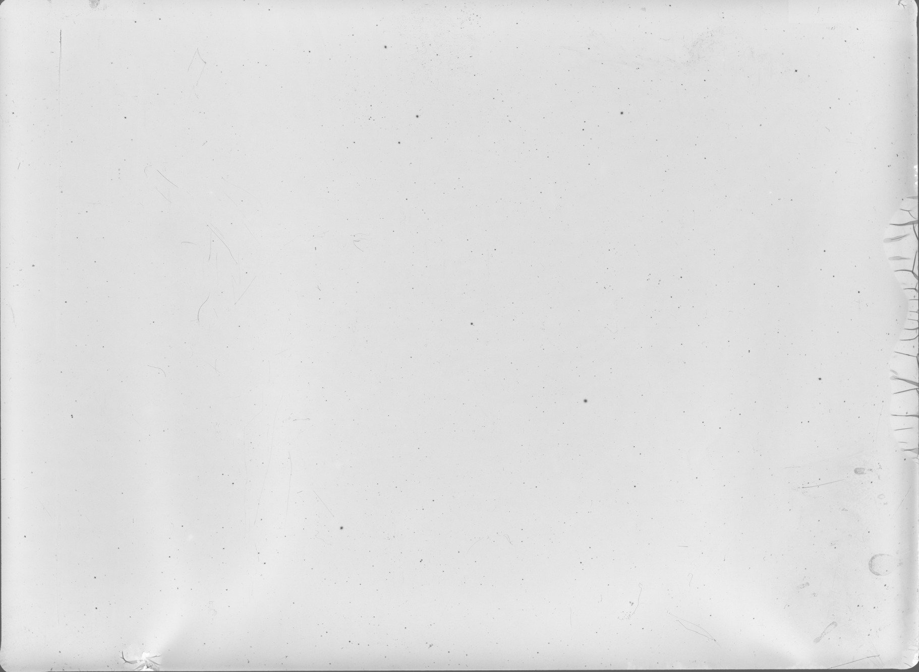 Plate preview