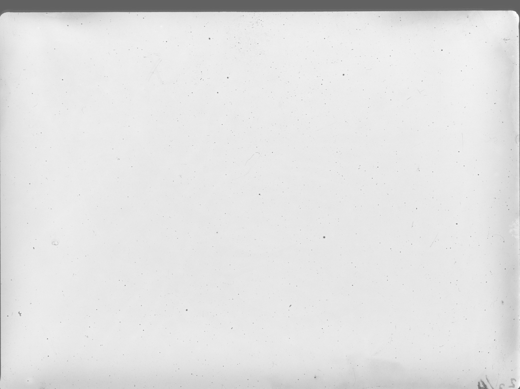 Plate preview