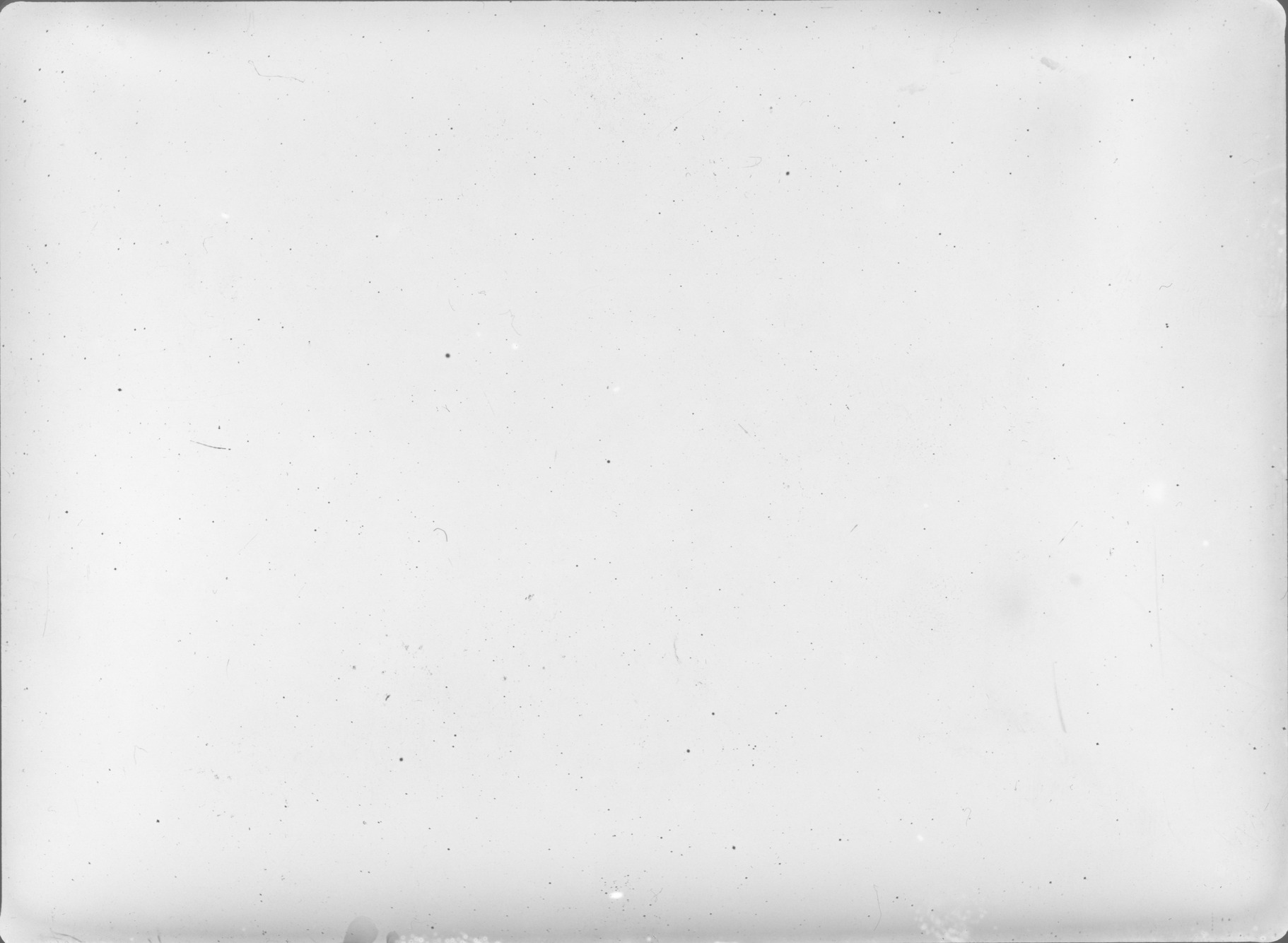 Plate preview