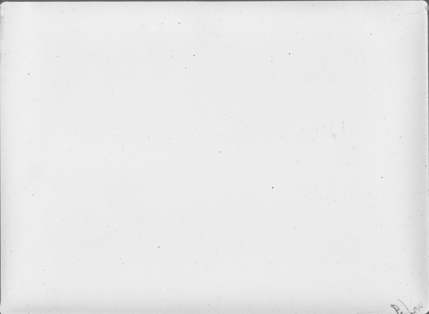 Plate preview