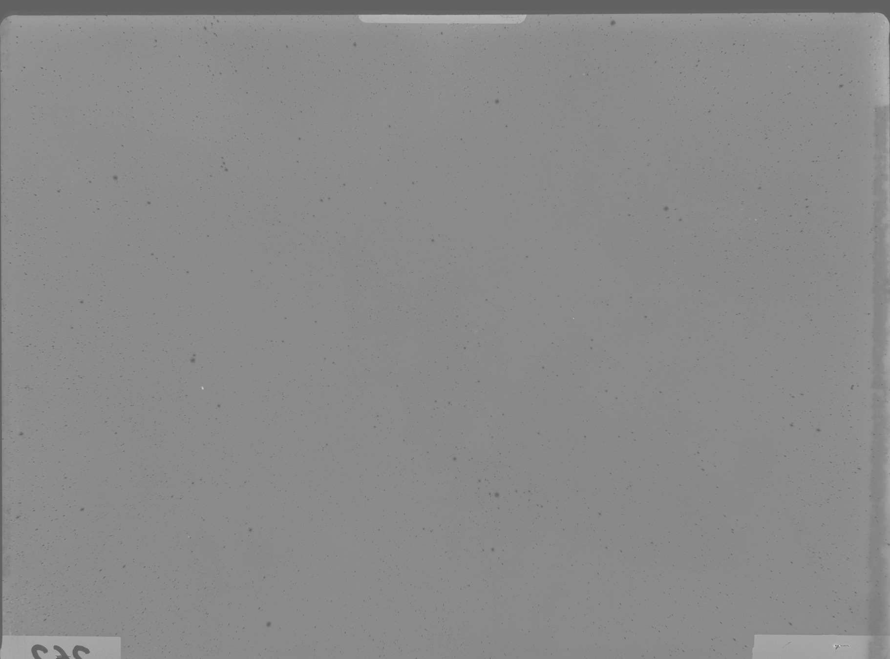 Plate preview