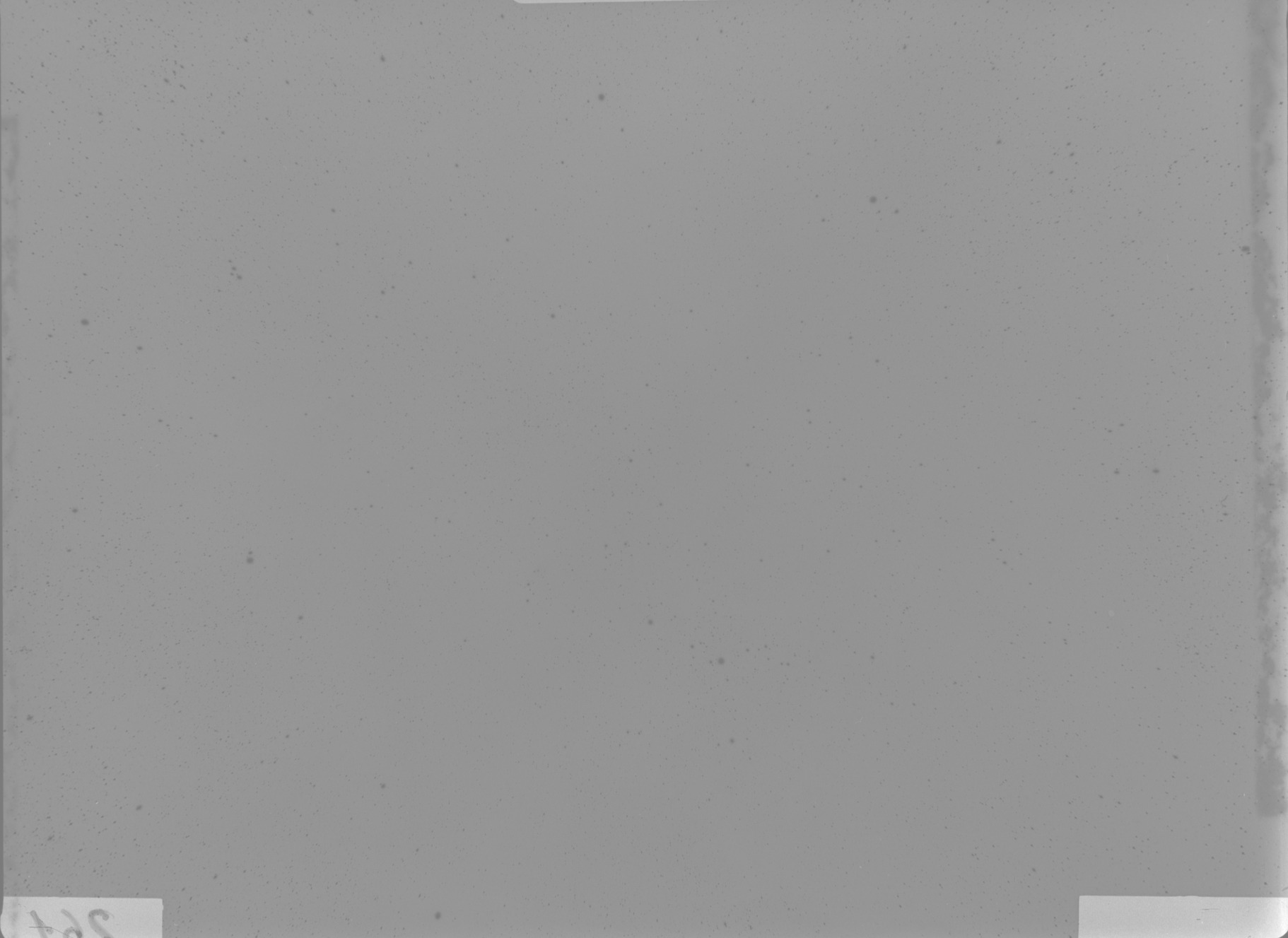 Plate preview