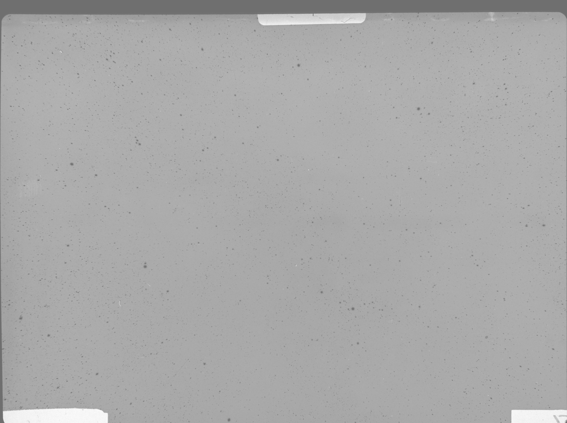 Plate preview