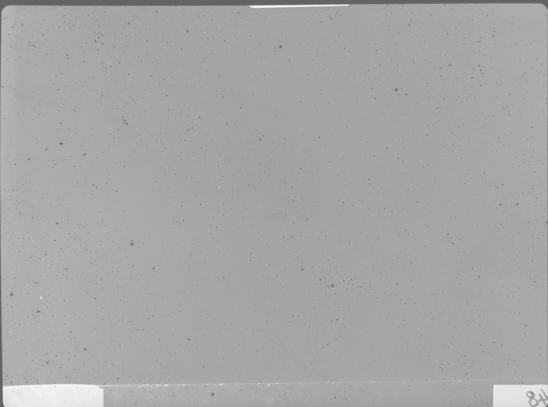 Plate preview