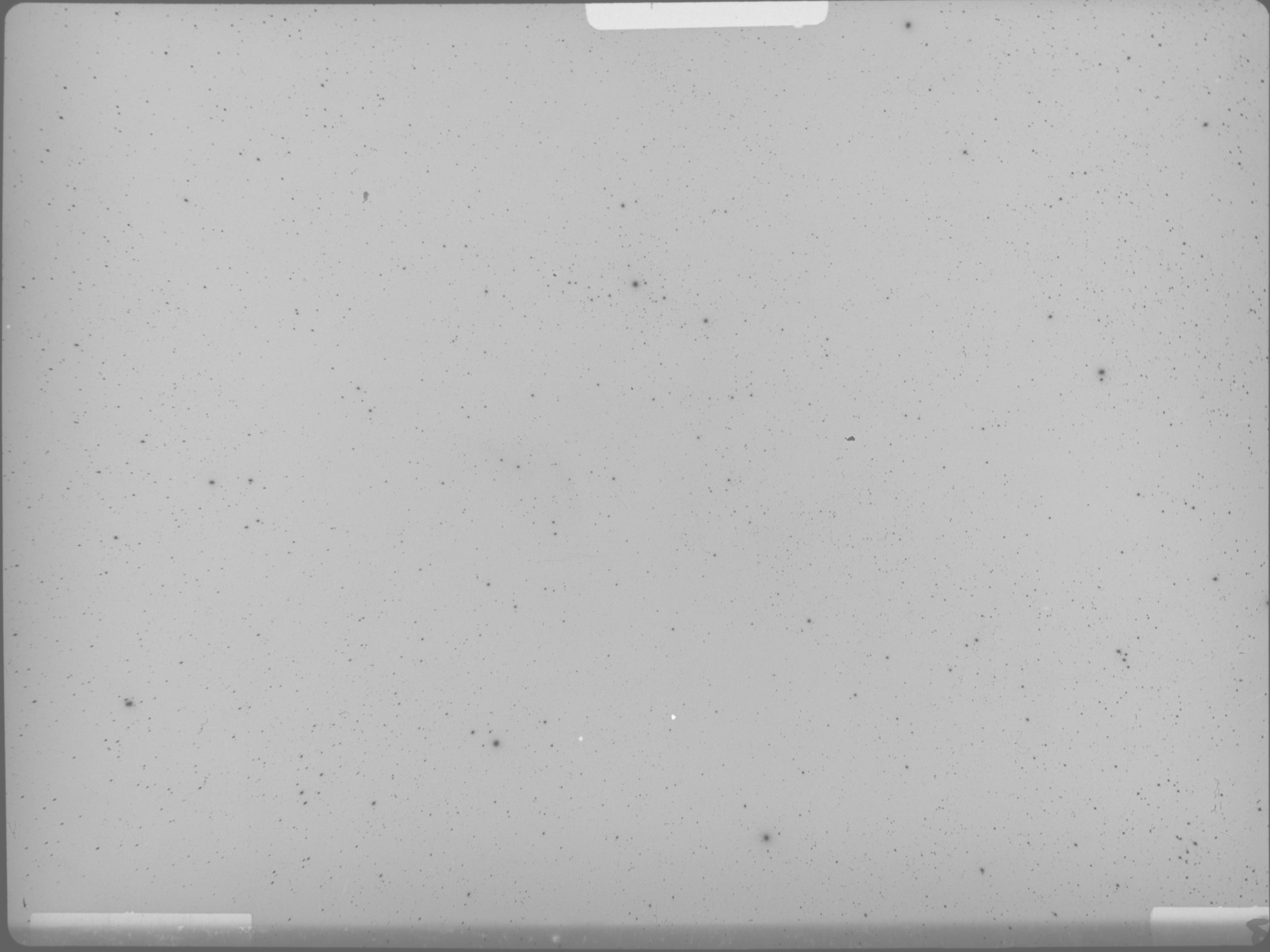 Plate preview