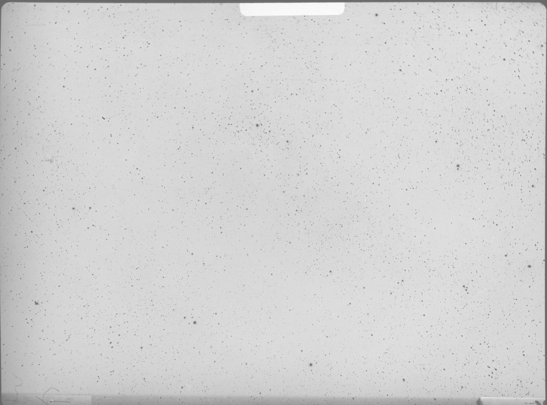 Plate preview