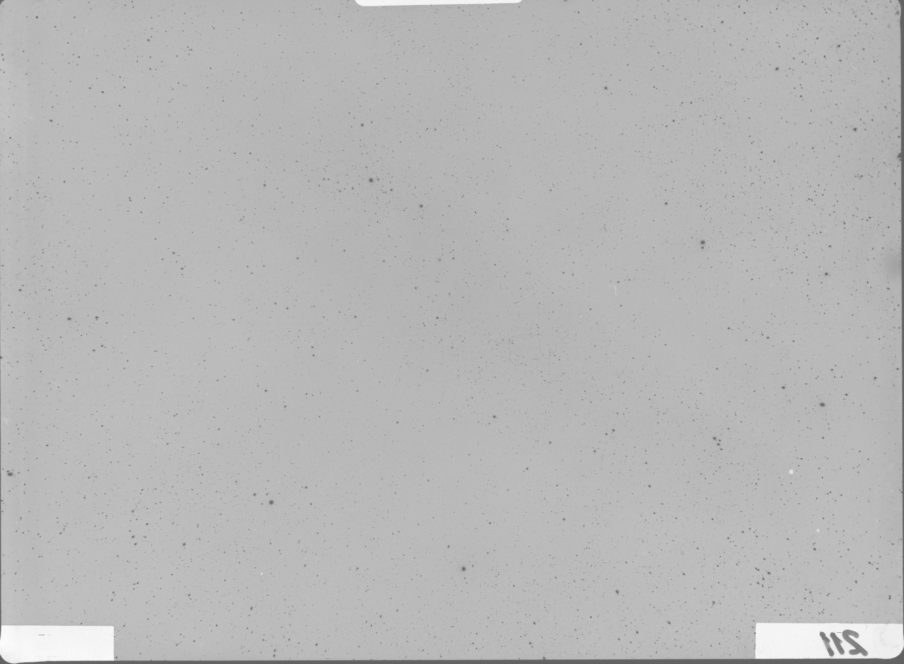 Plate preview
