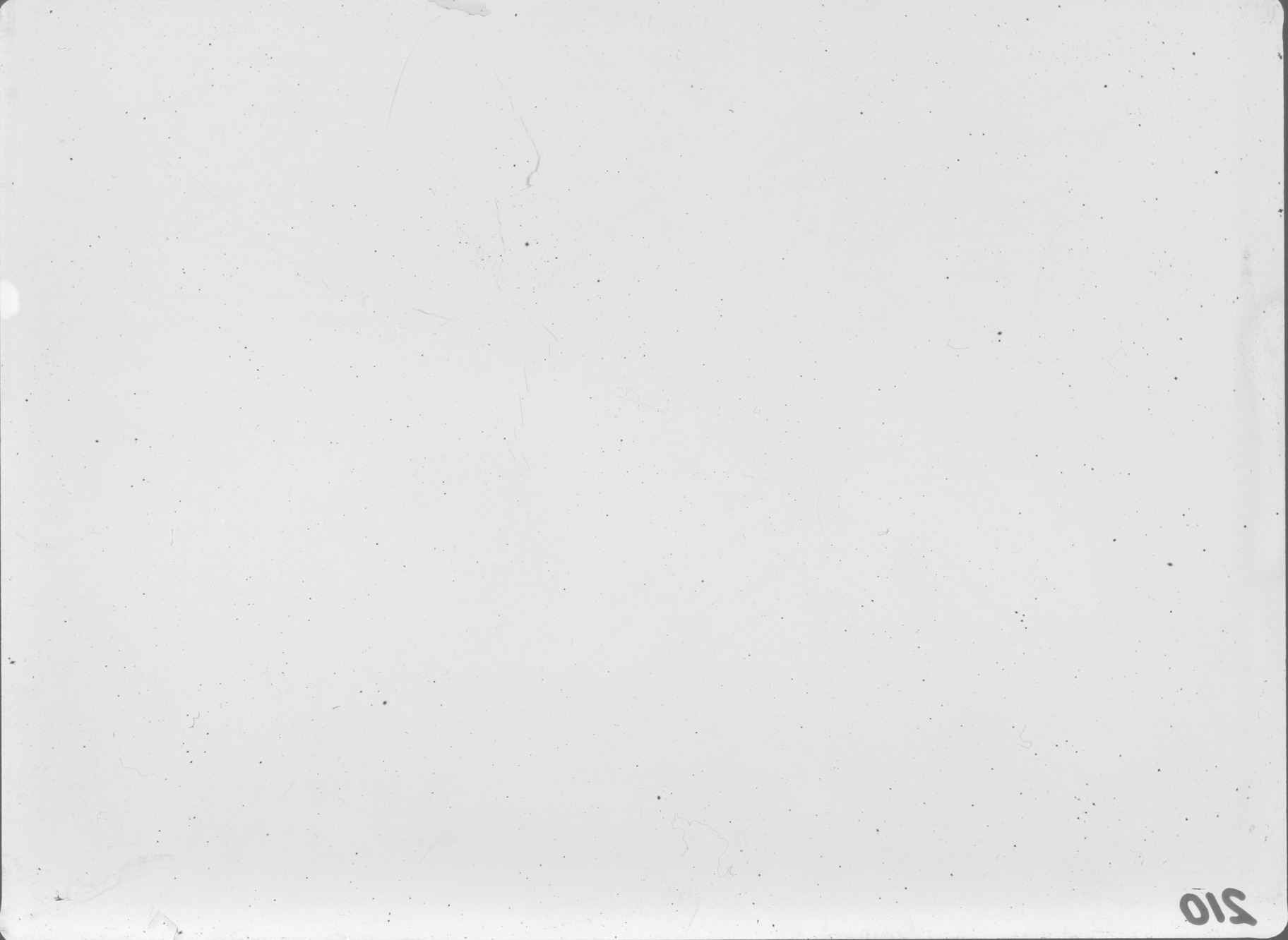 Plate preview