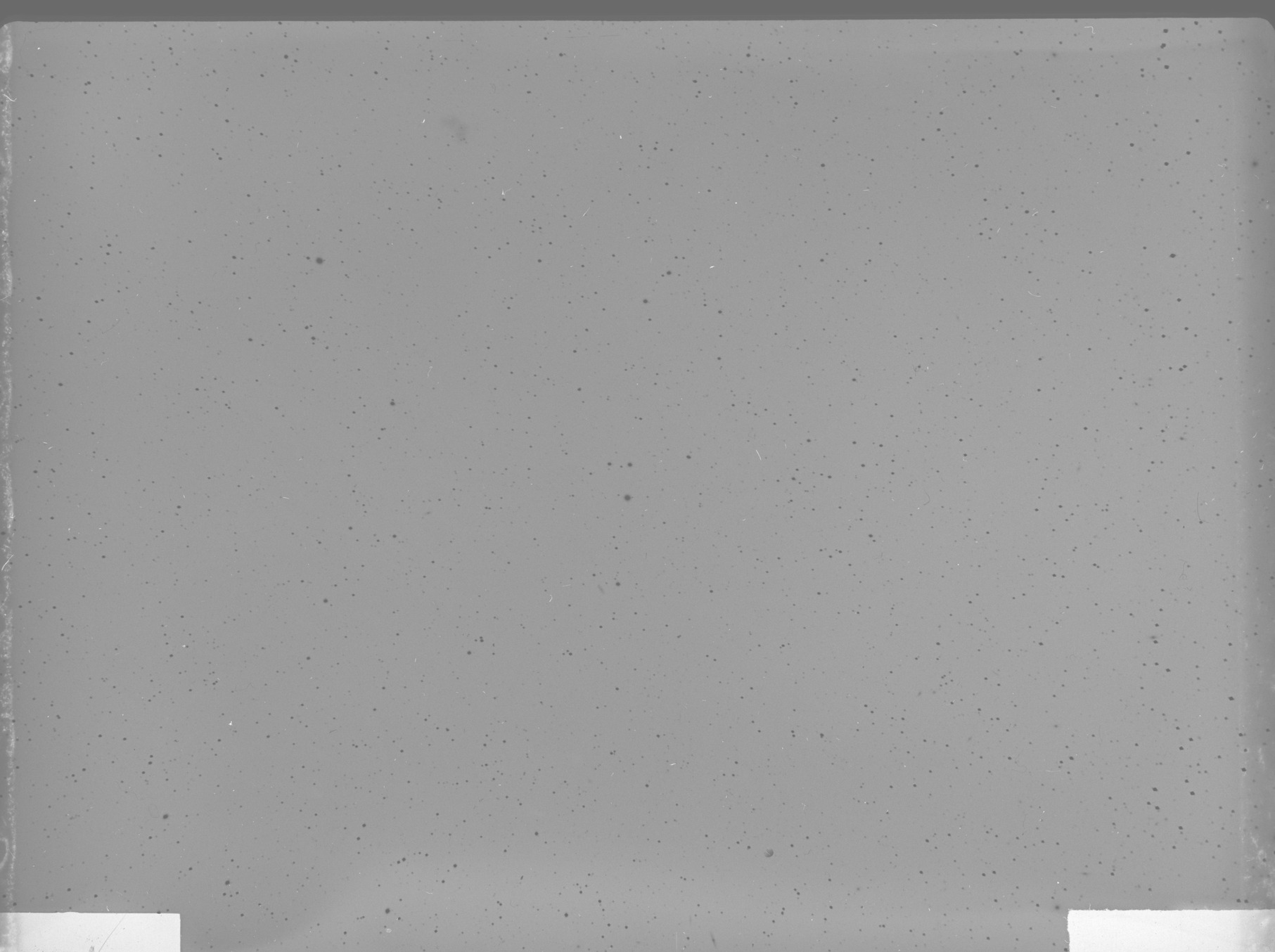 Plate preview