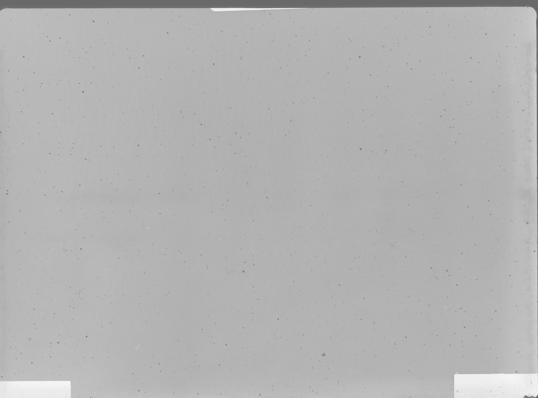 Plate preview