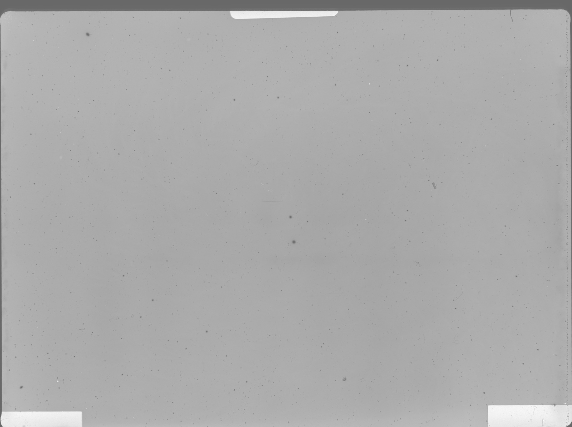 Plate preview