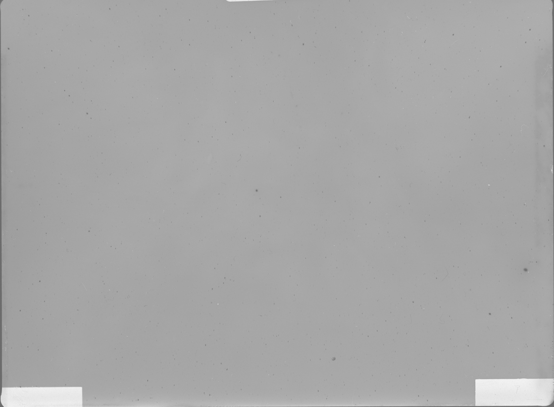 Plate preview