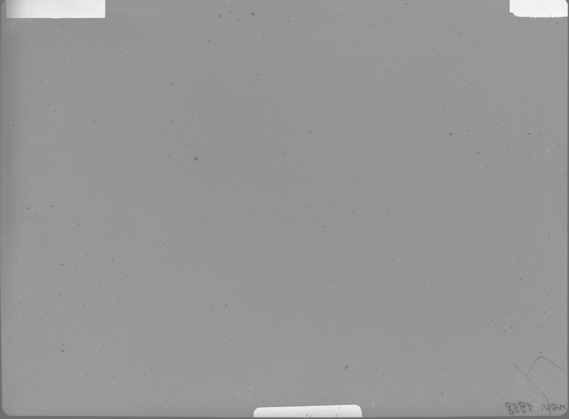 Plate preview