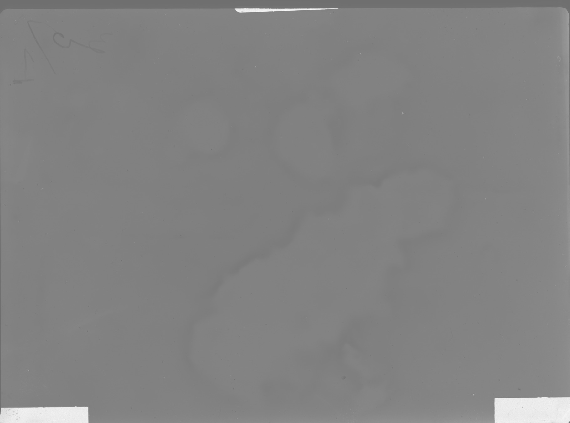 Plate preview