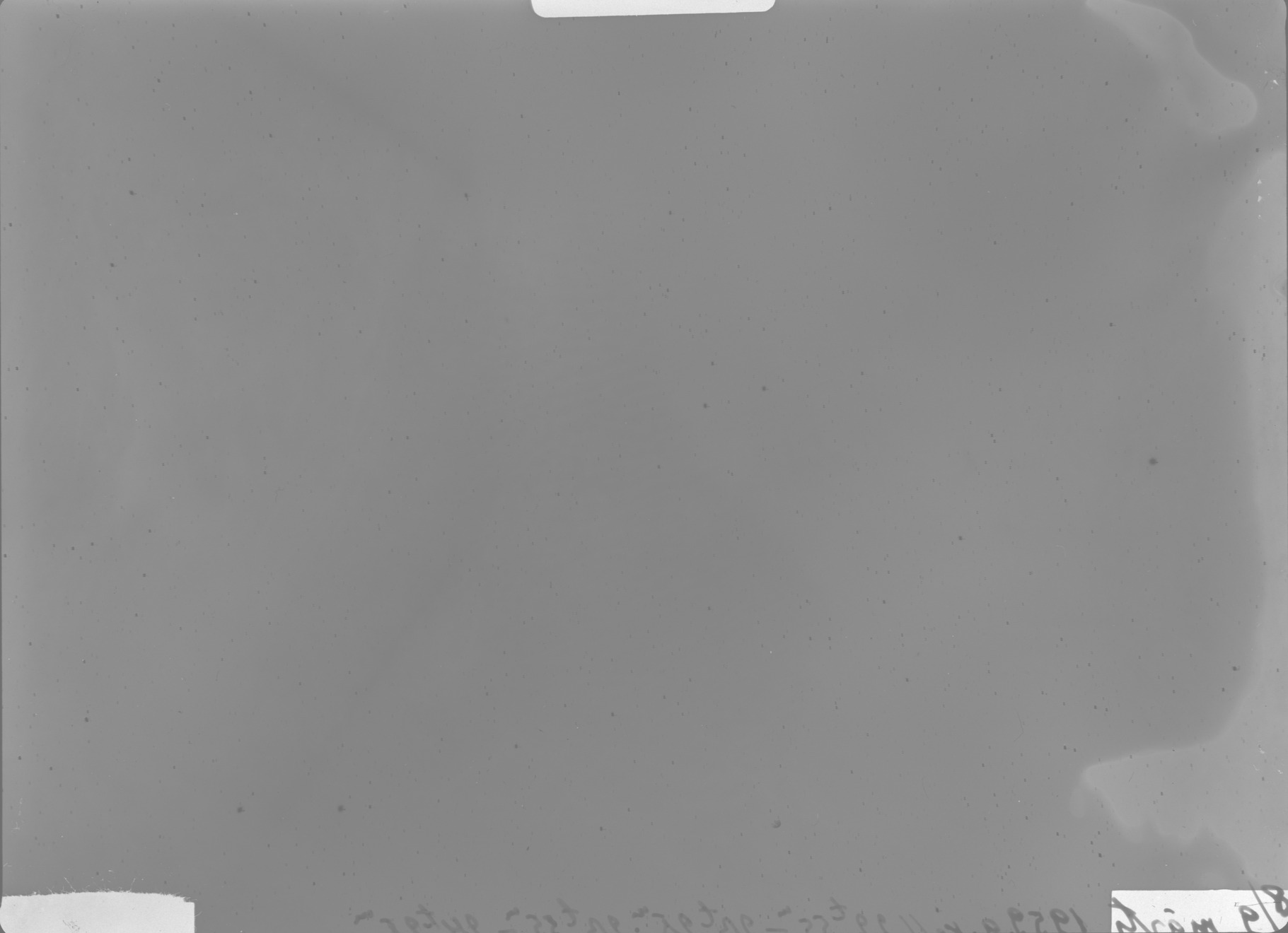 Plate preview