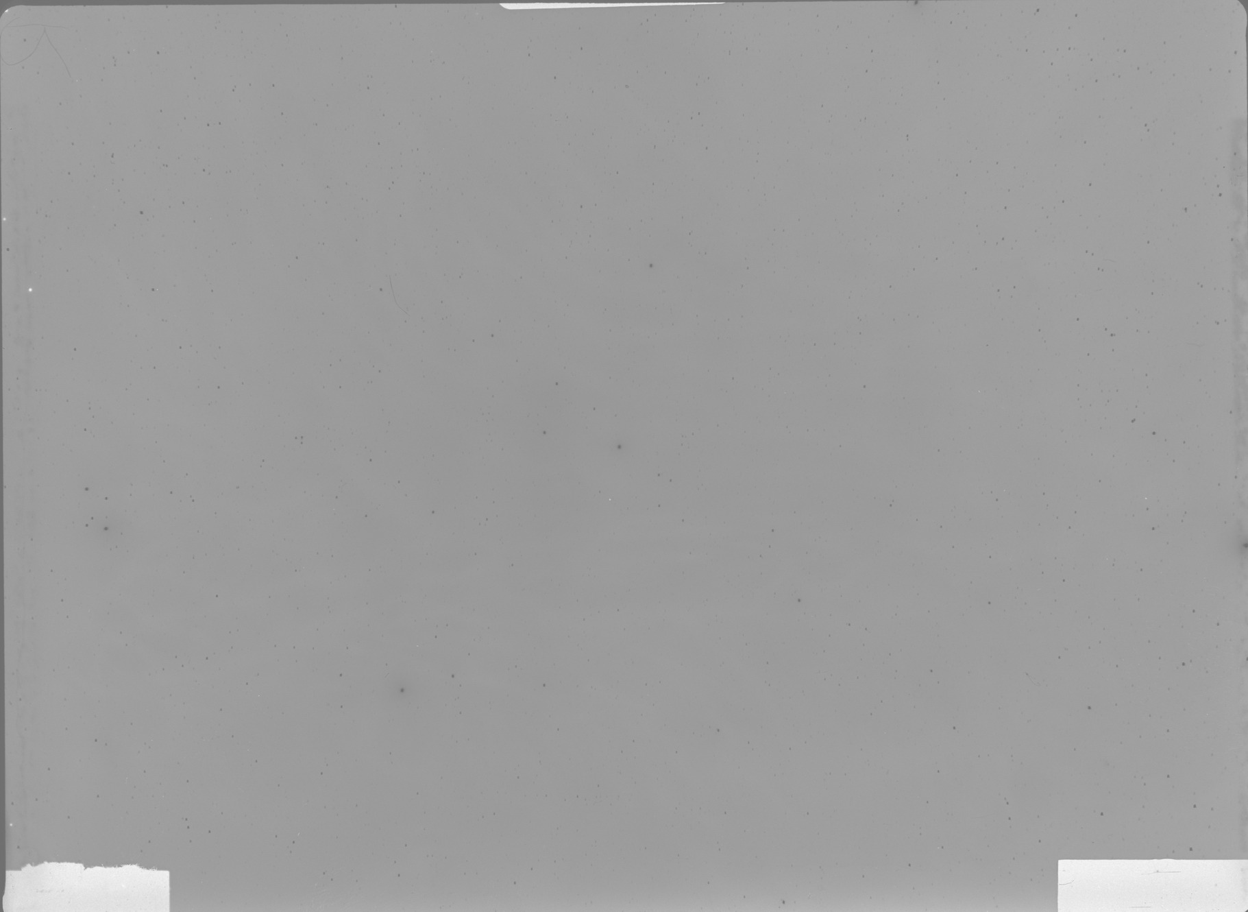 Plate preview