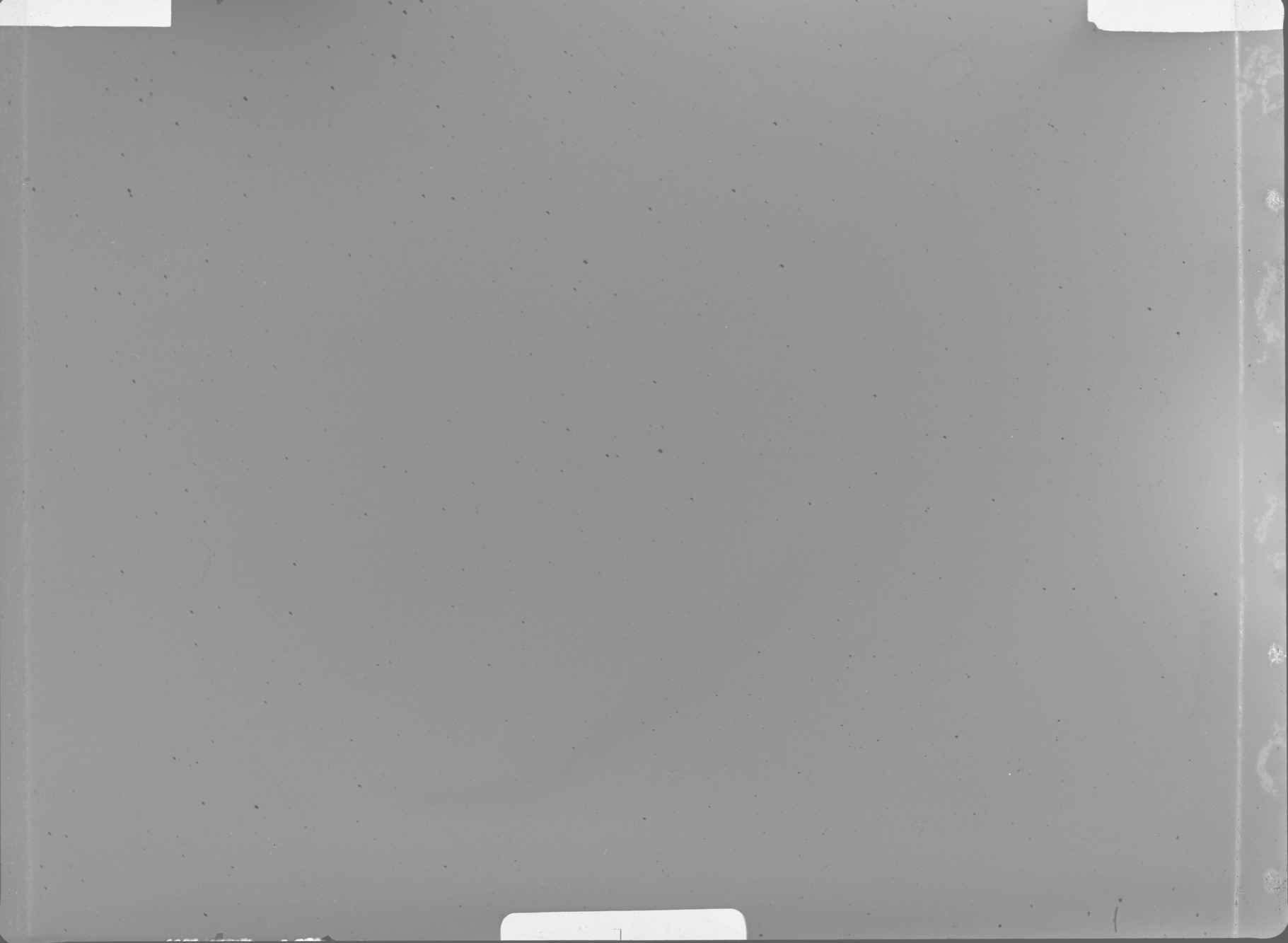 Plate preview