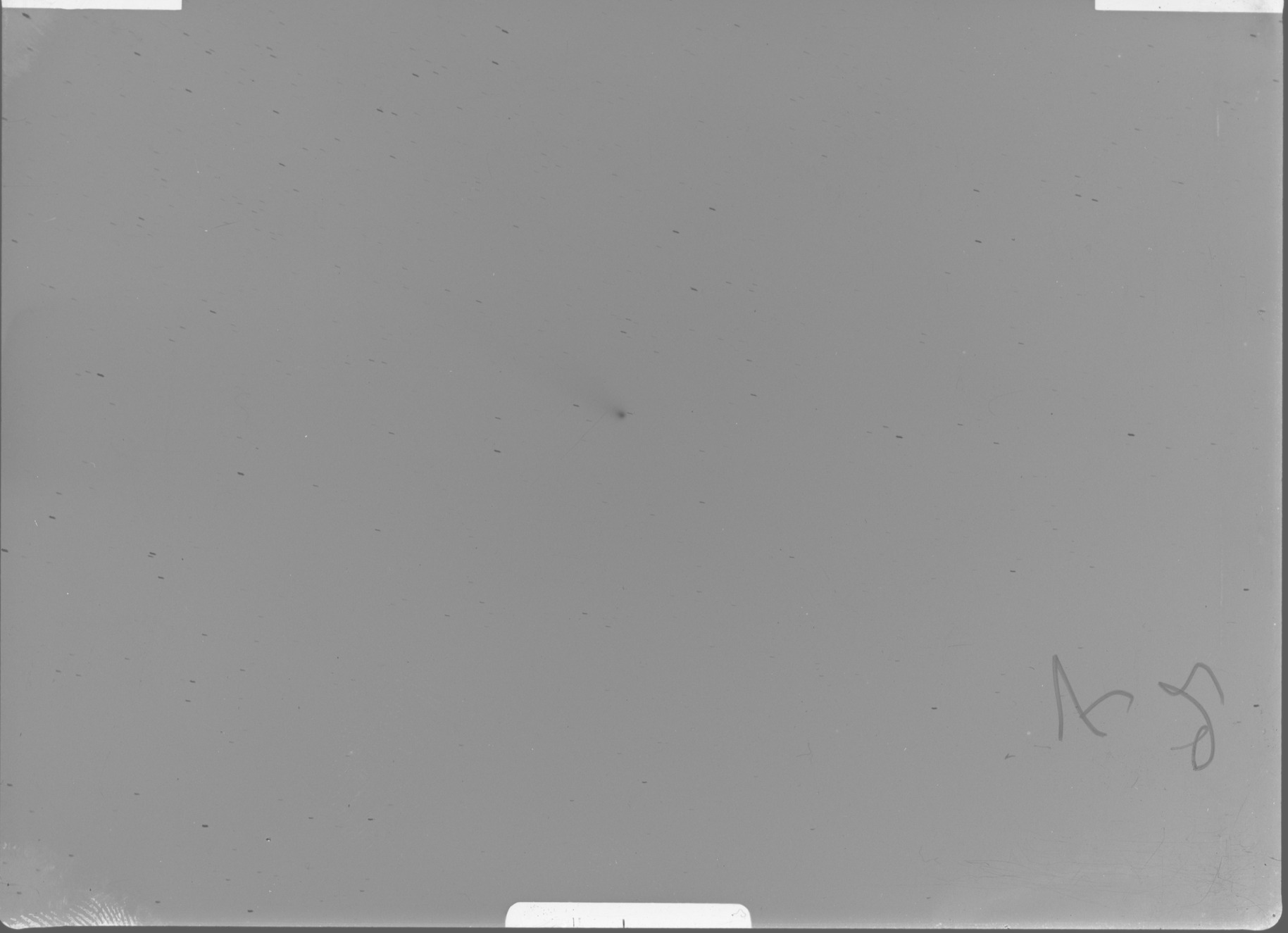 Plate preview