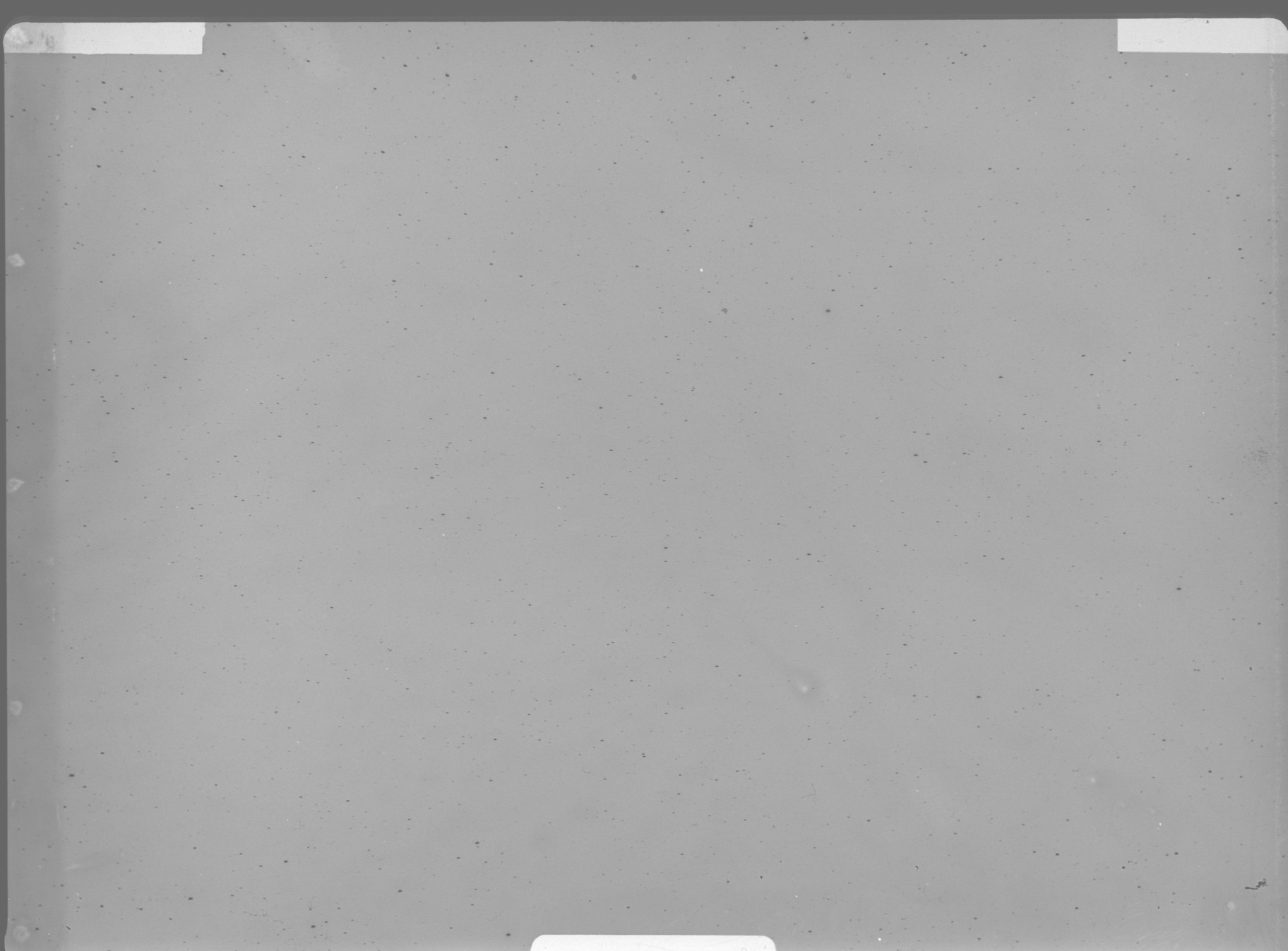 Plate preview