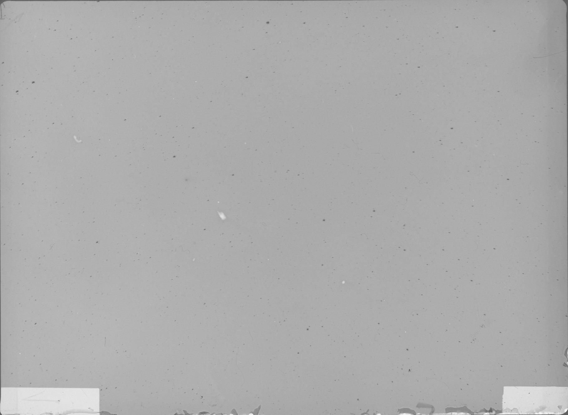 Plate preview