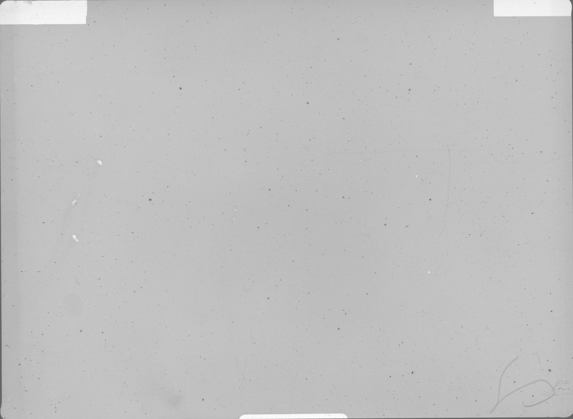 Plate preview