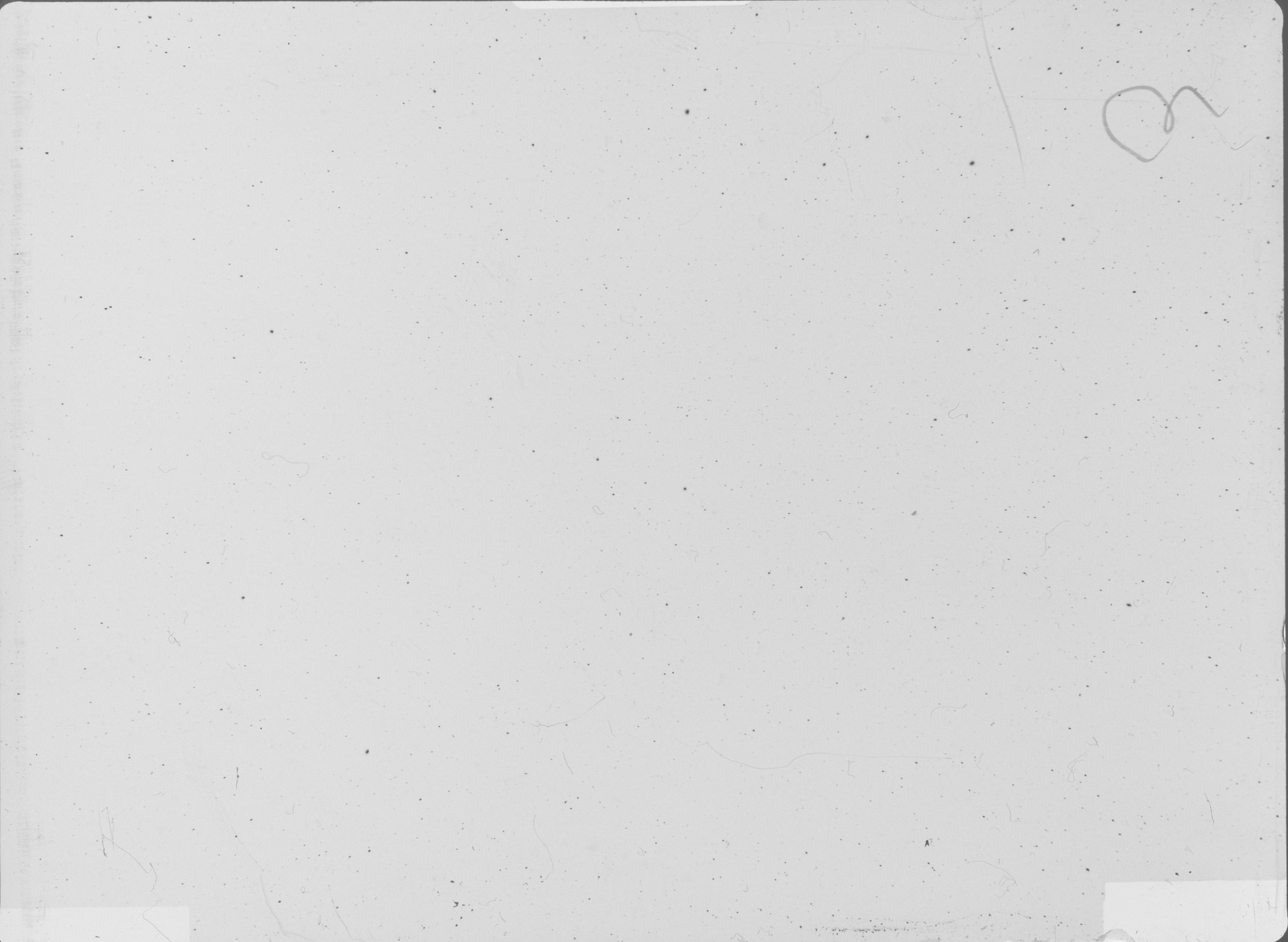 Plate preview