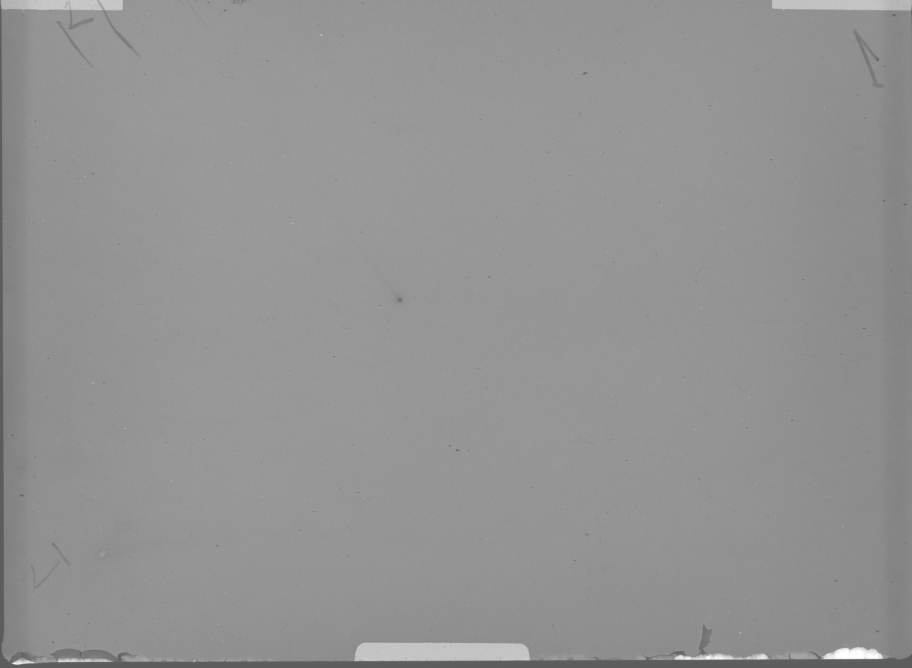 Plate preview
