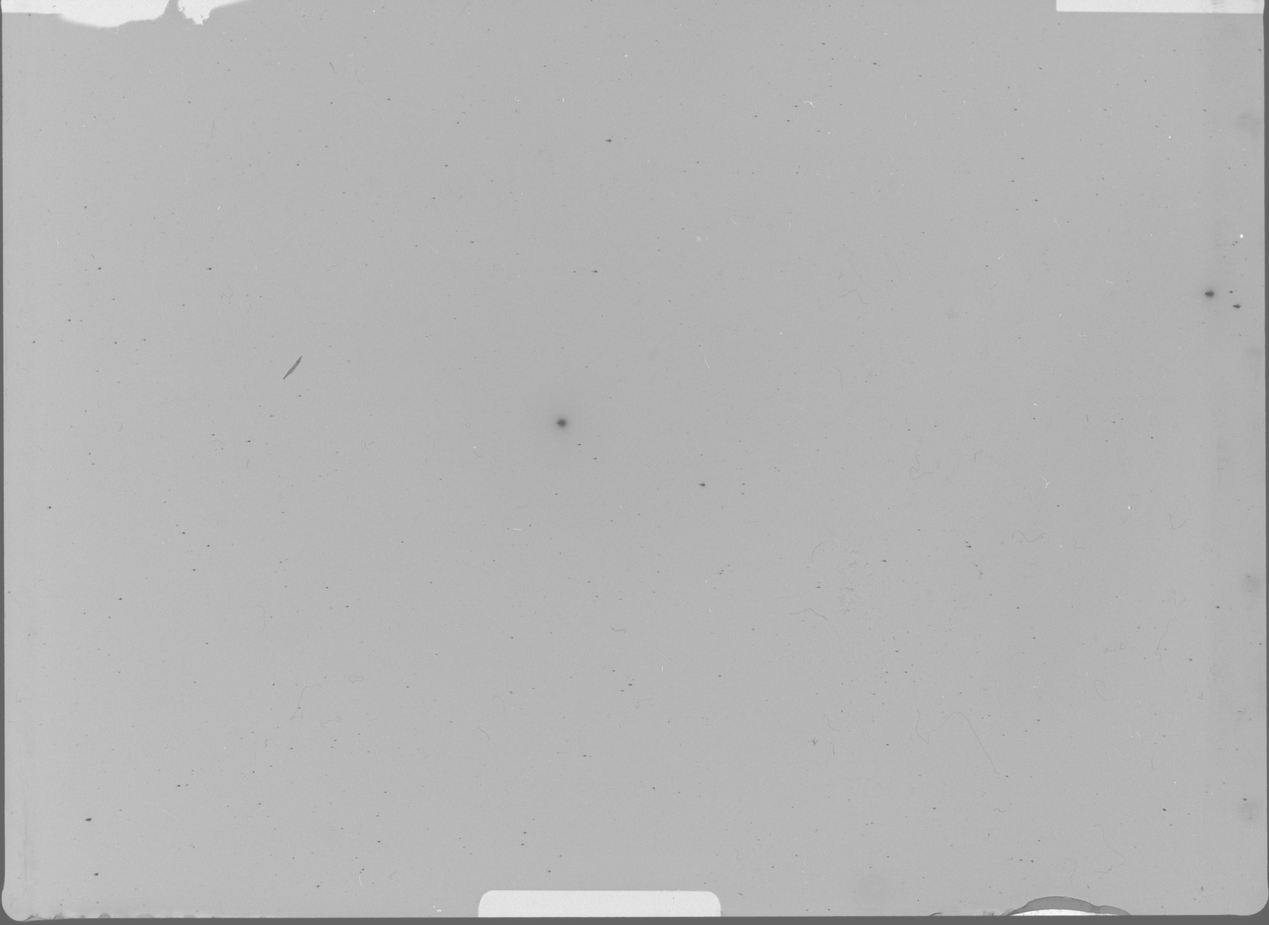 Plate preview