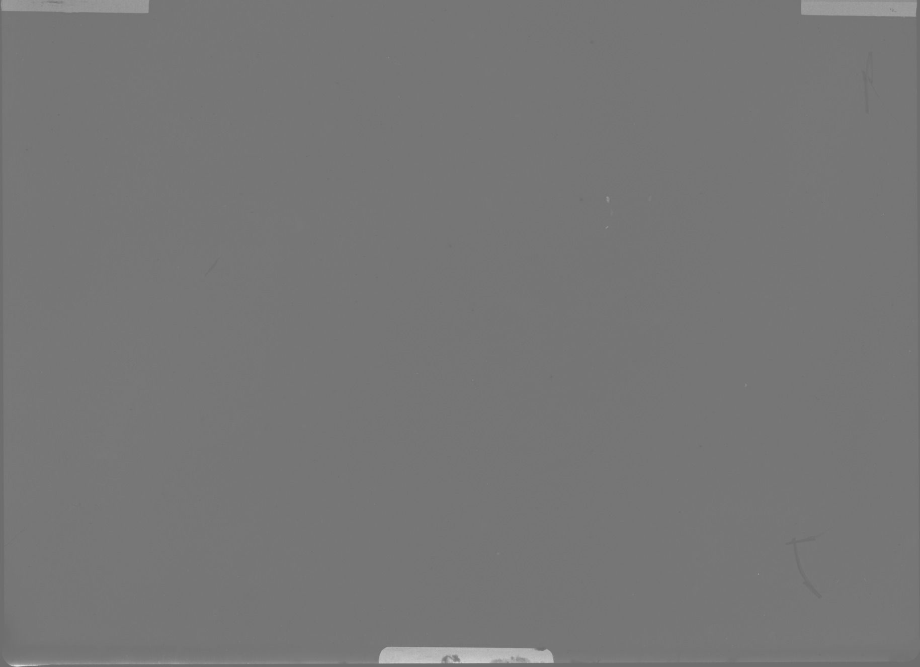 Plate preview