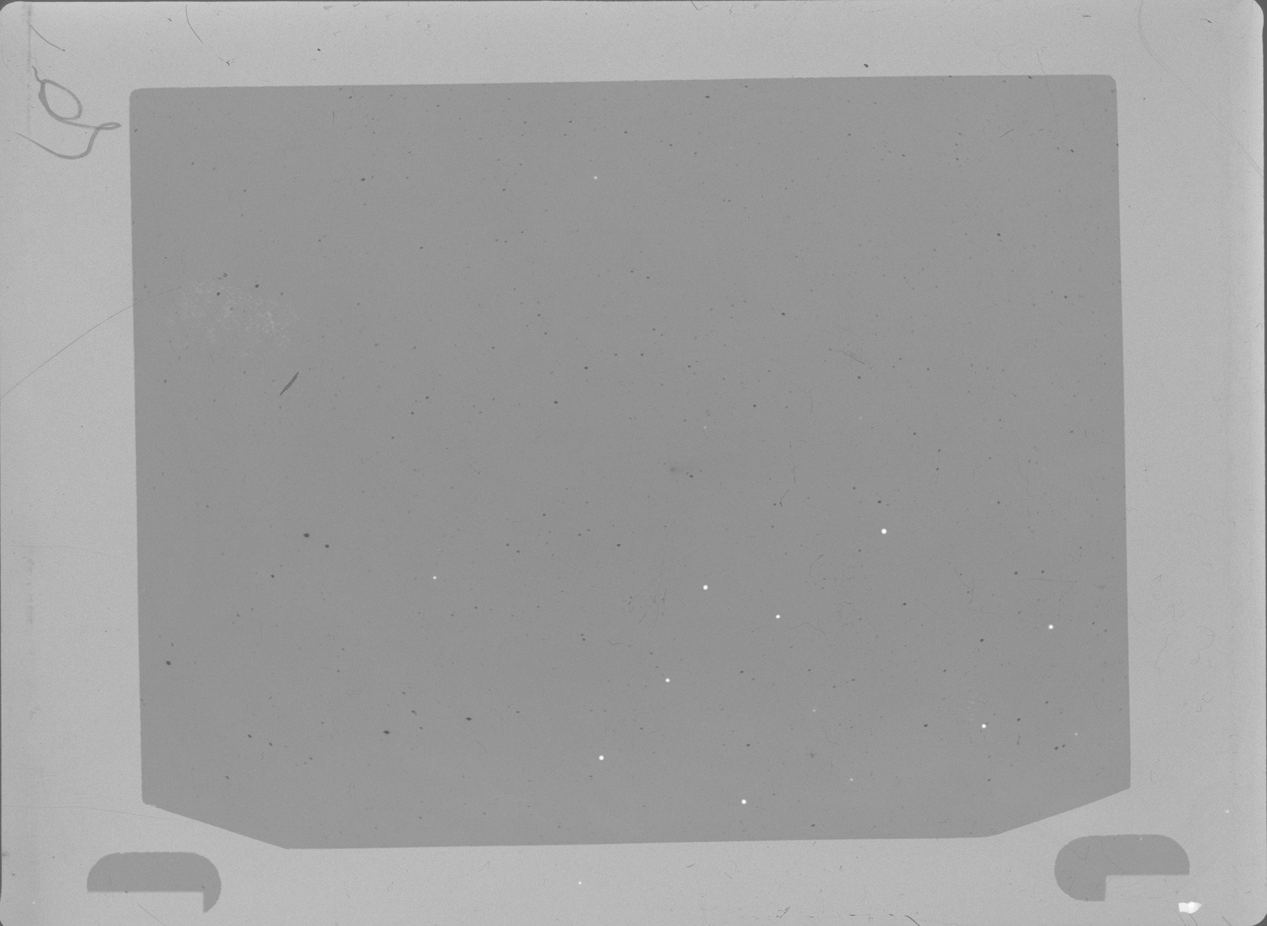 Plate preview