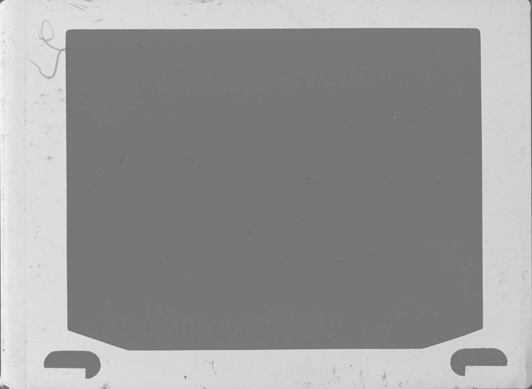 Plate preview
