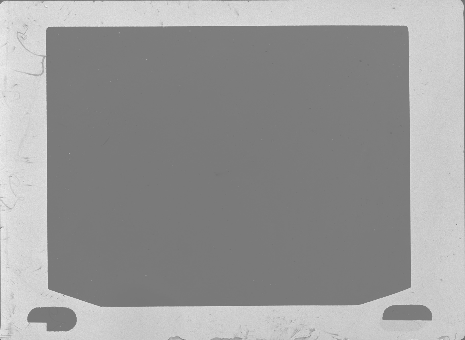 Plate preview