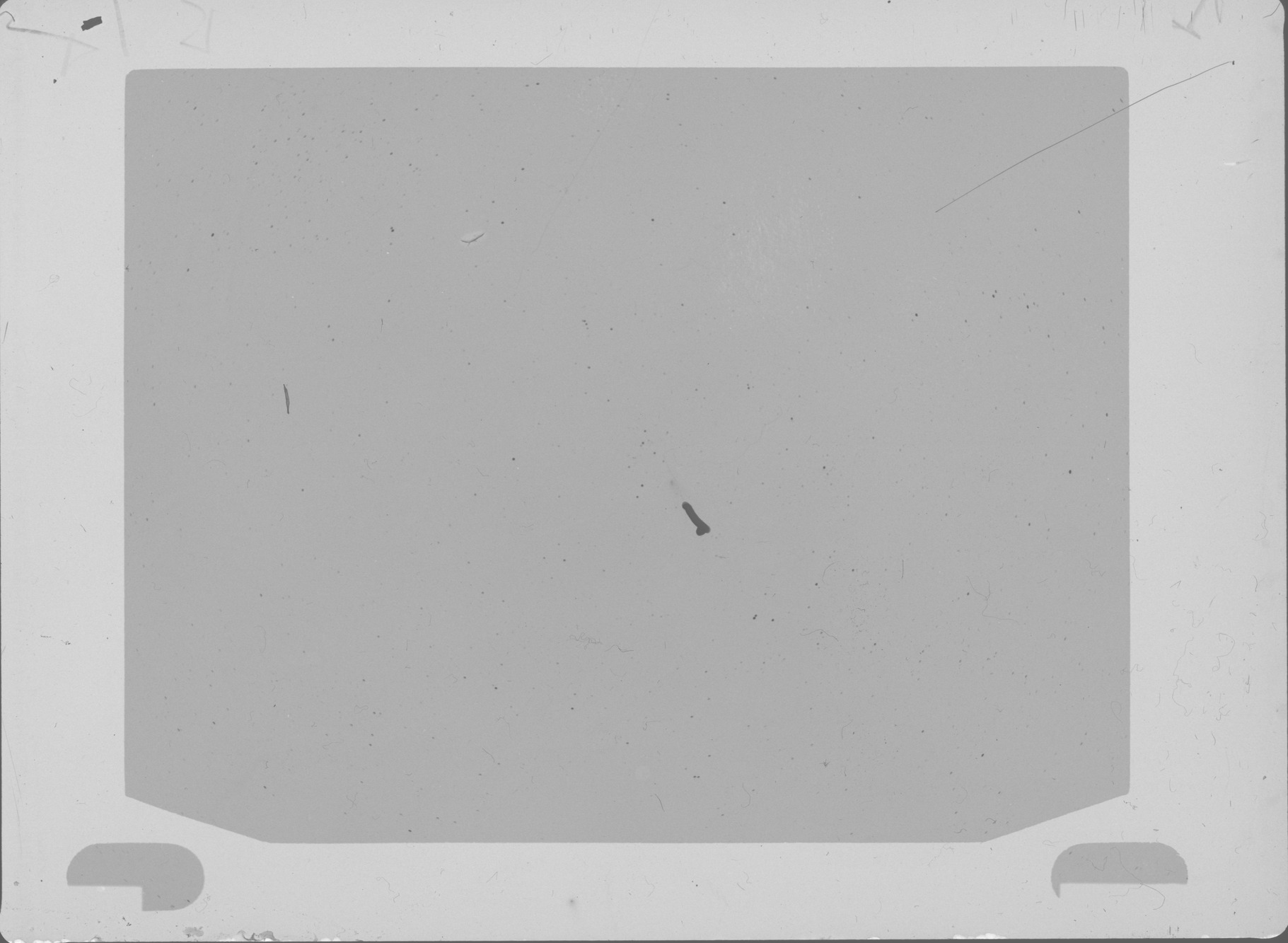 Plate preview