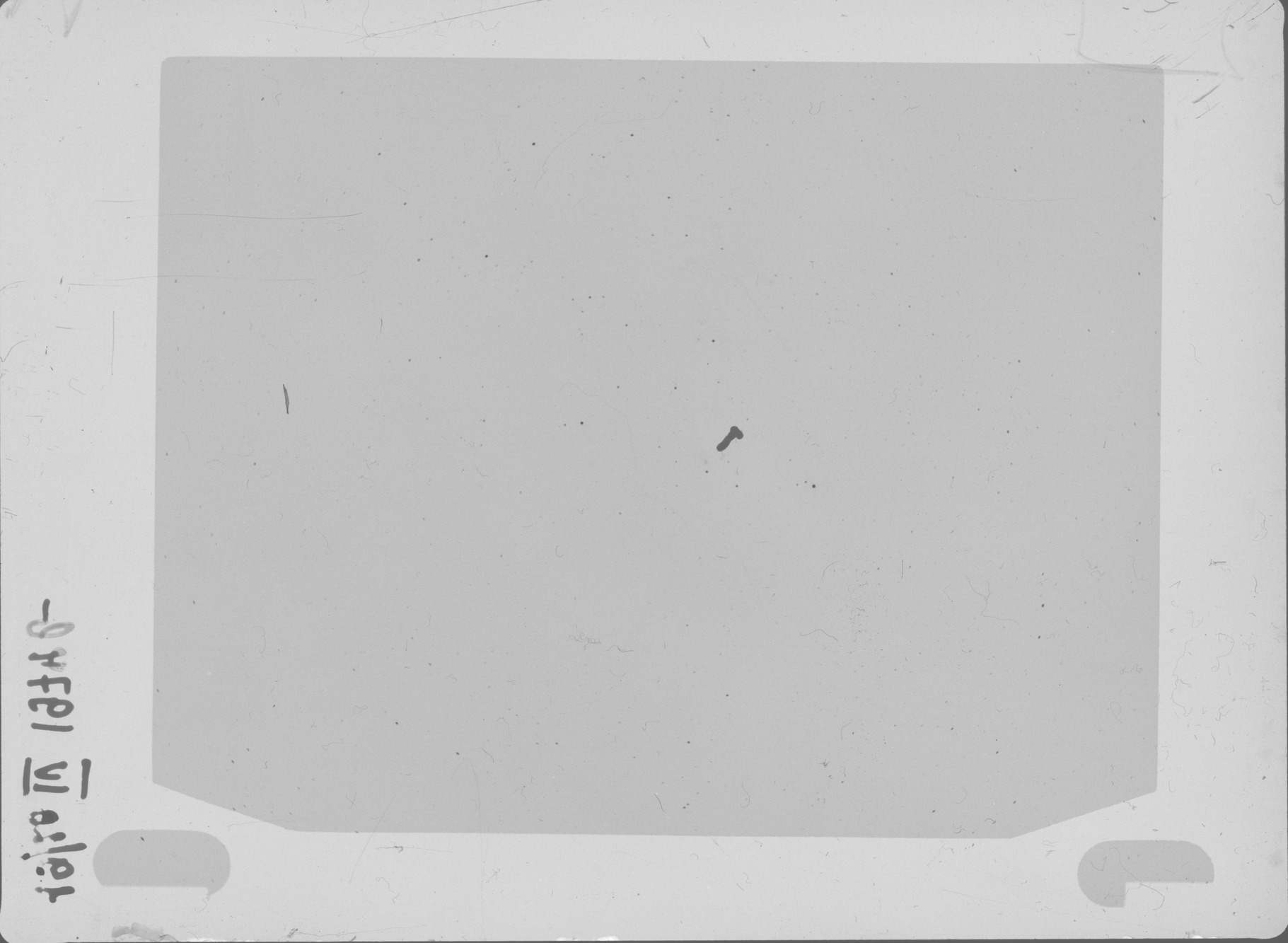 Plate preview