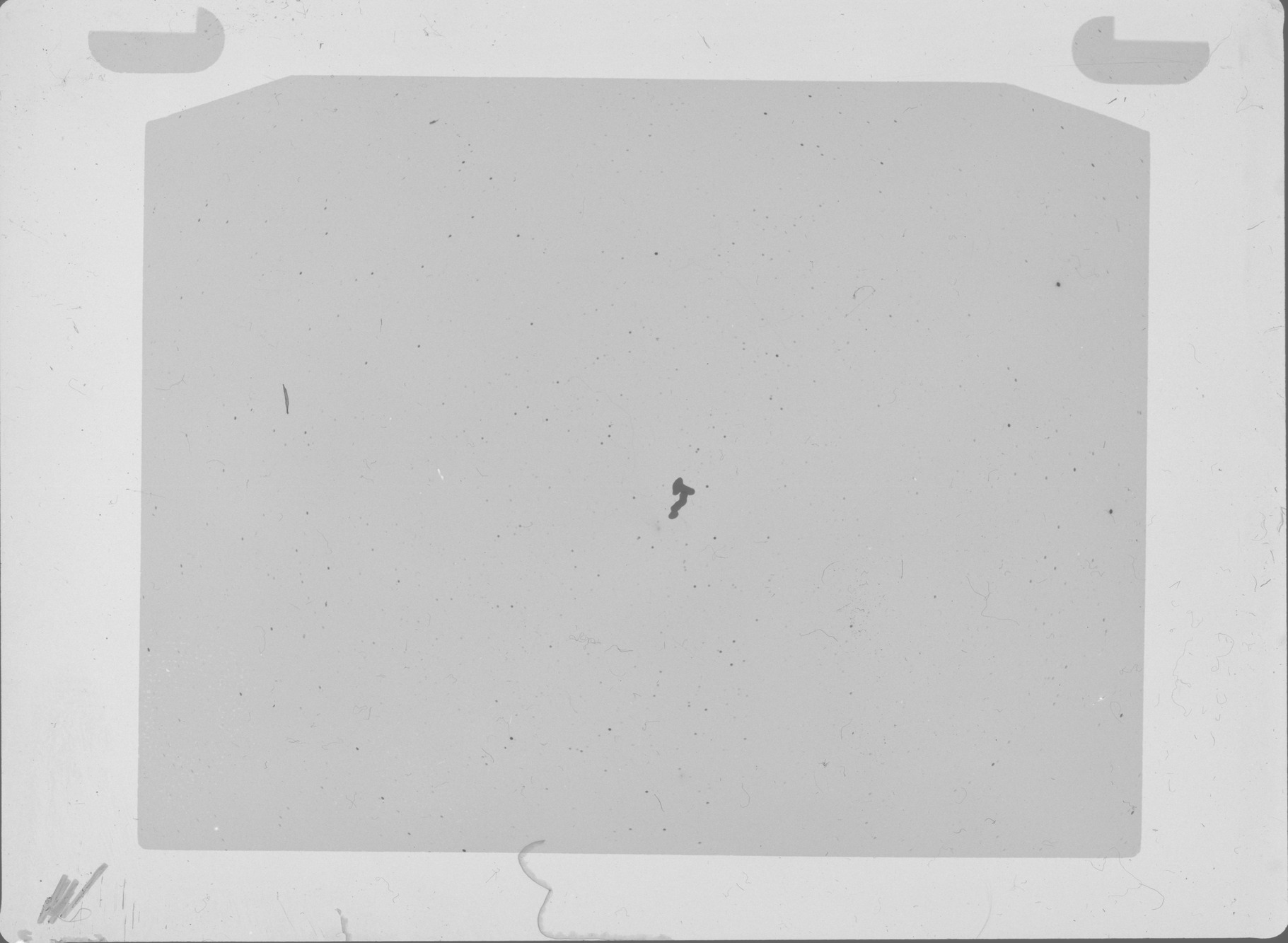 Plate preview