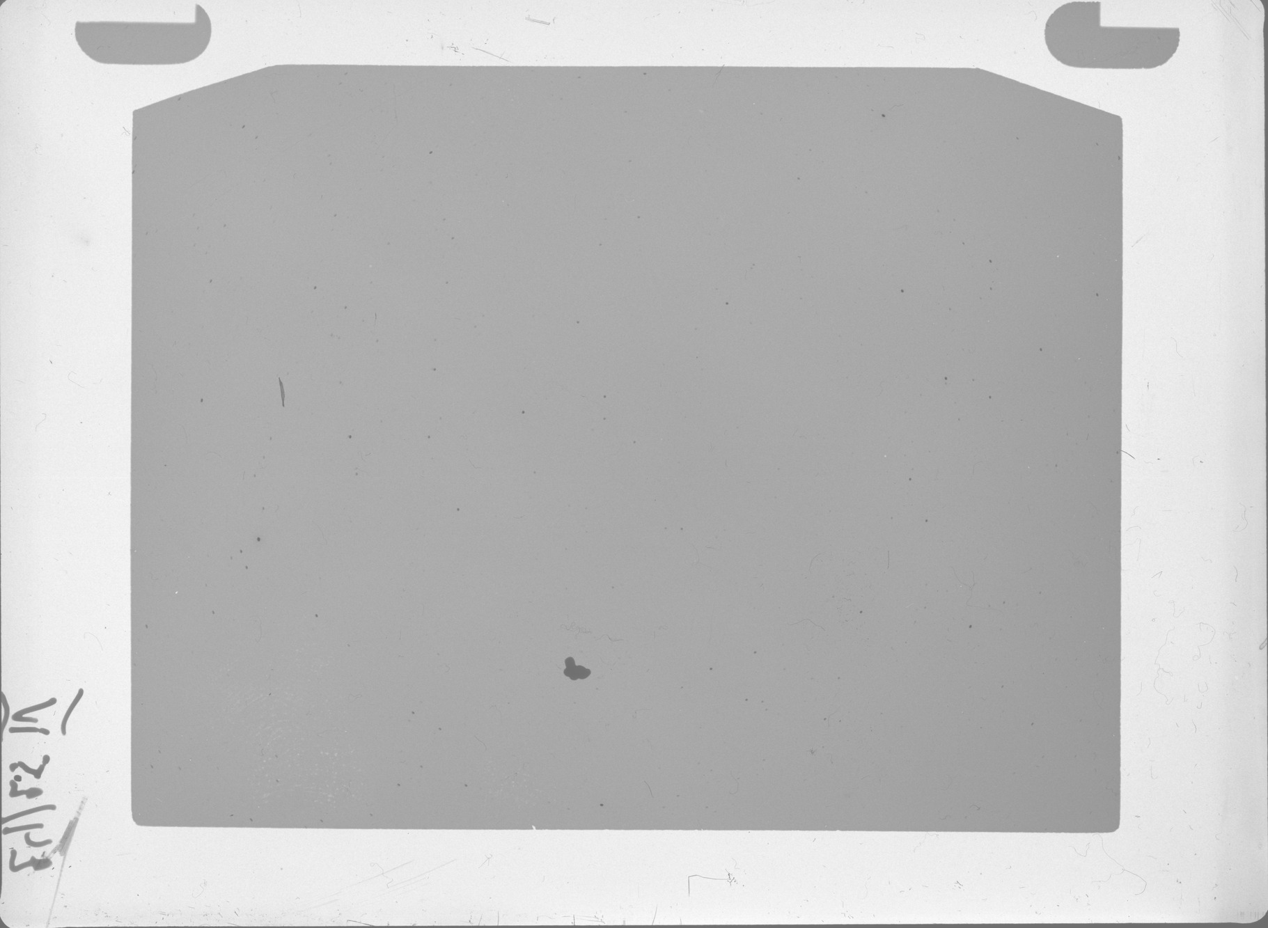 Plate preview