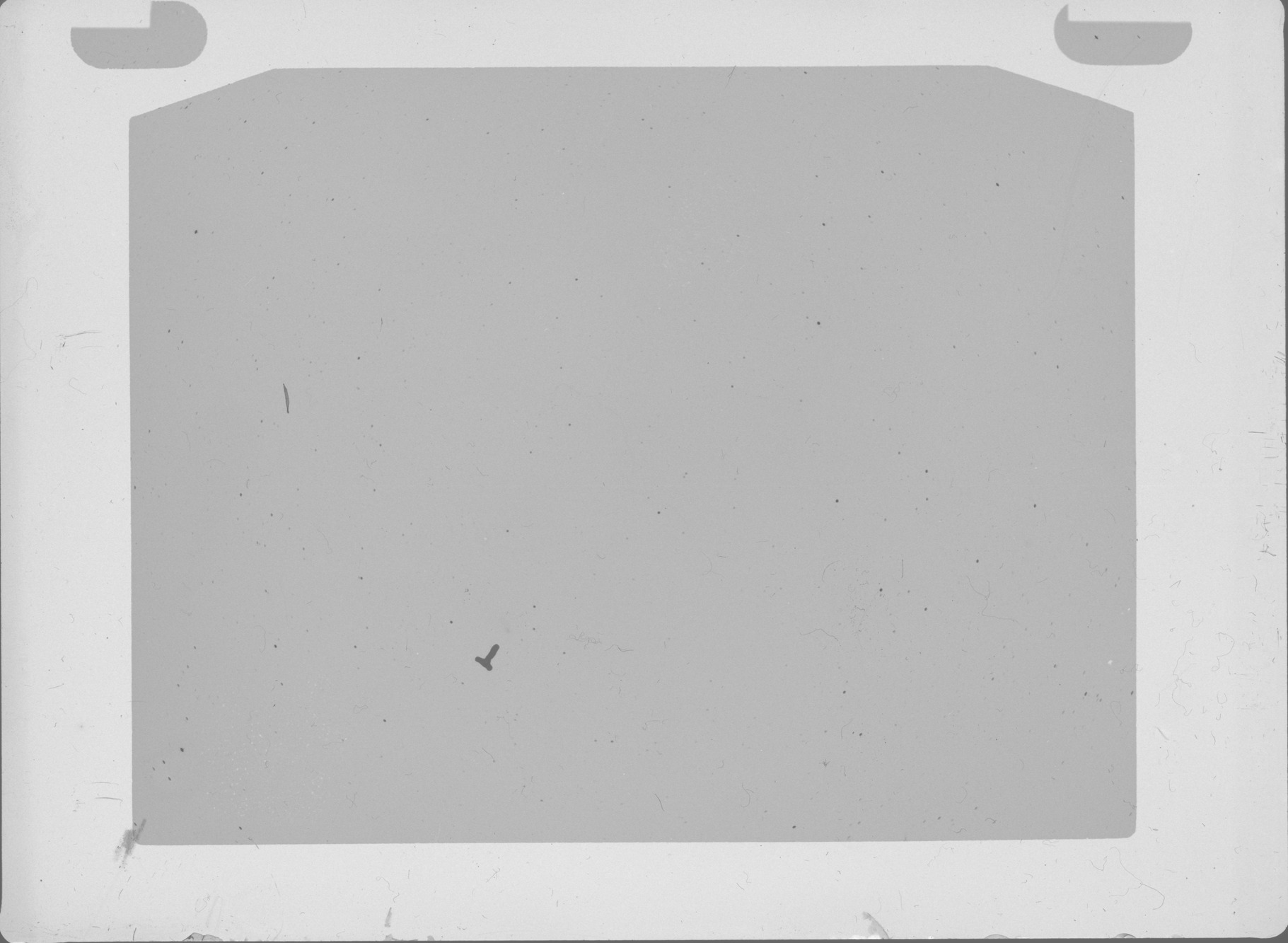 Plate preview