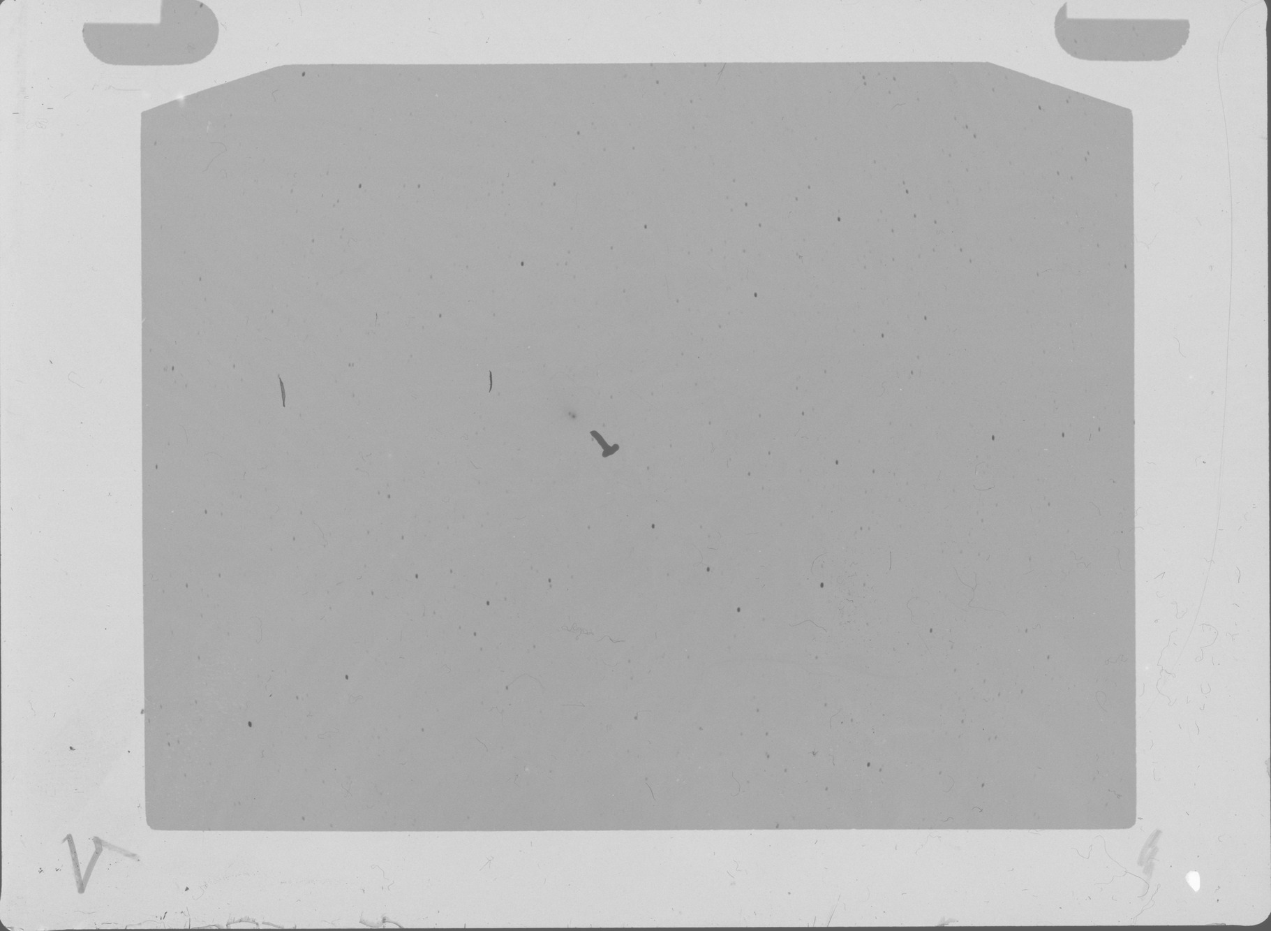 Plate preview