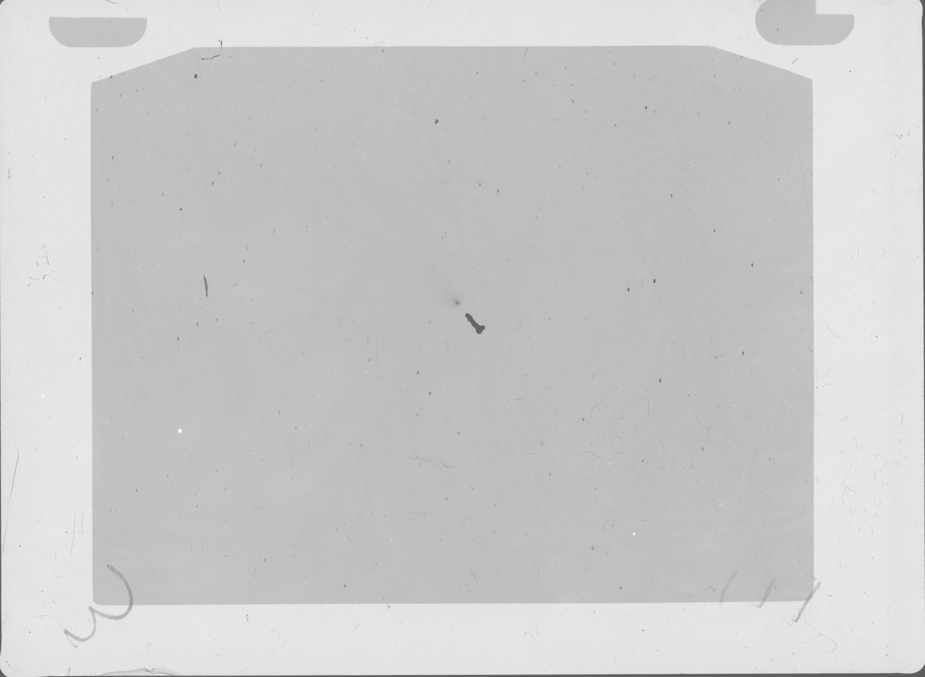 Plate preview