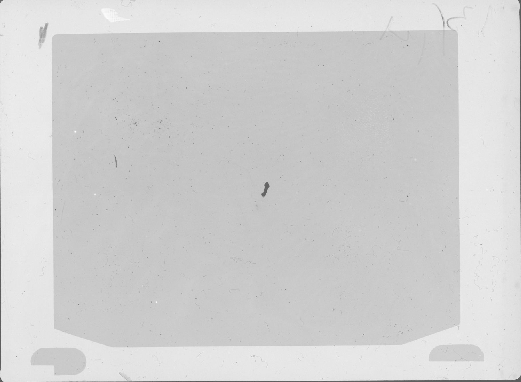 Plate preview