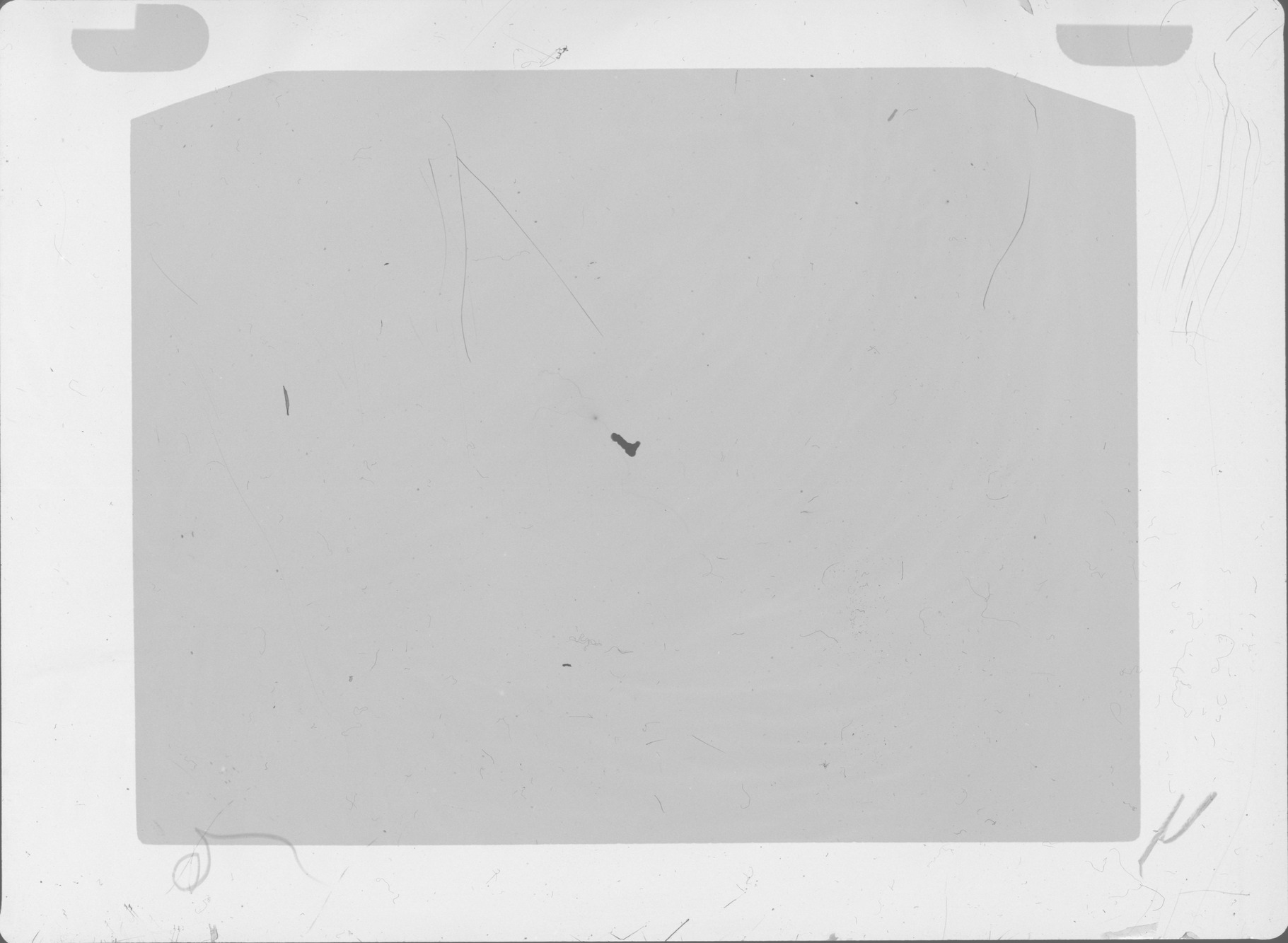 Plate preview