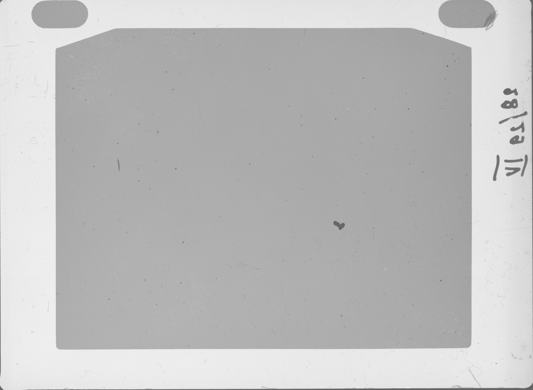 Plate preview