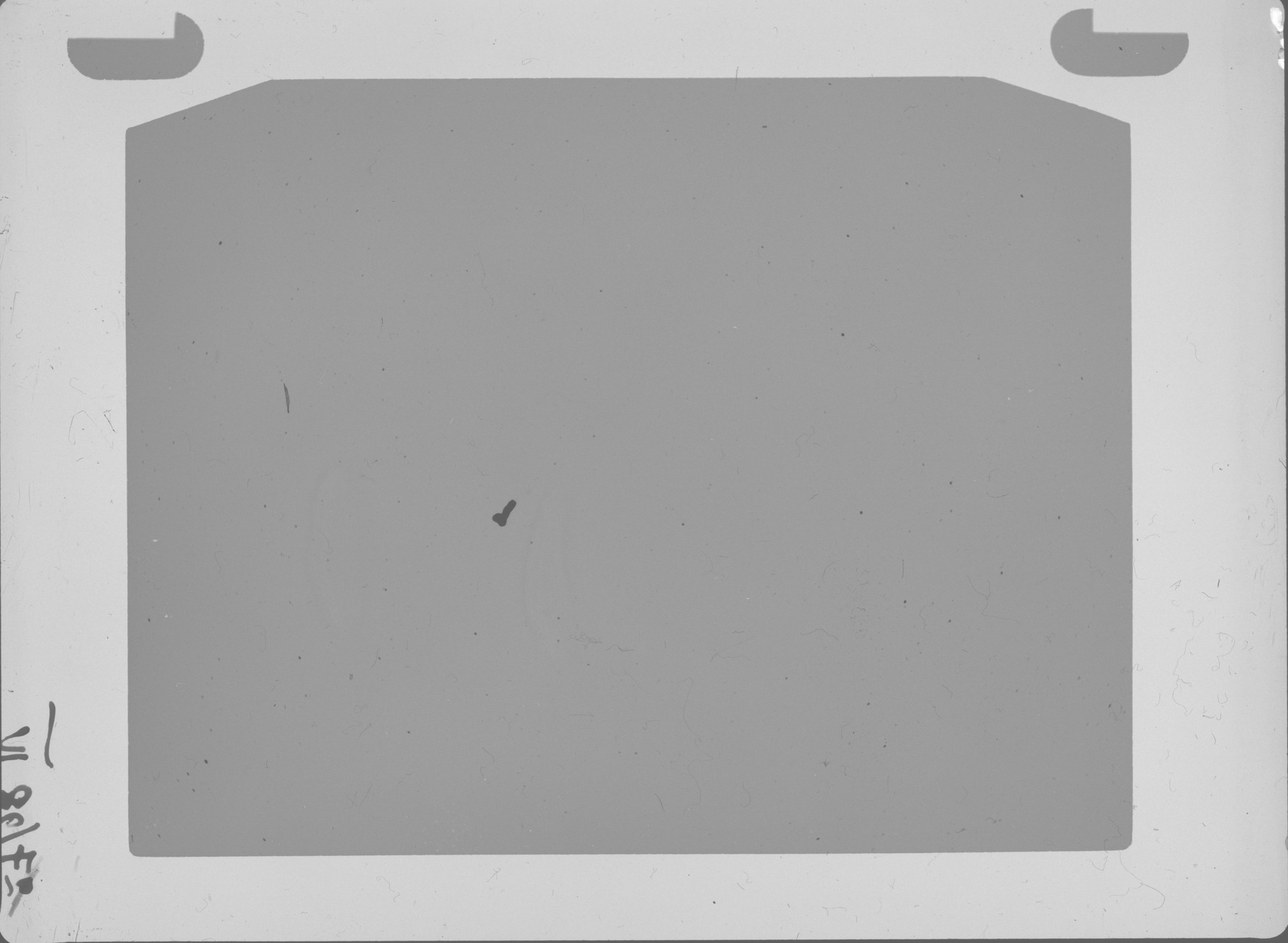 Plate preview