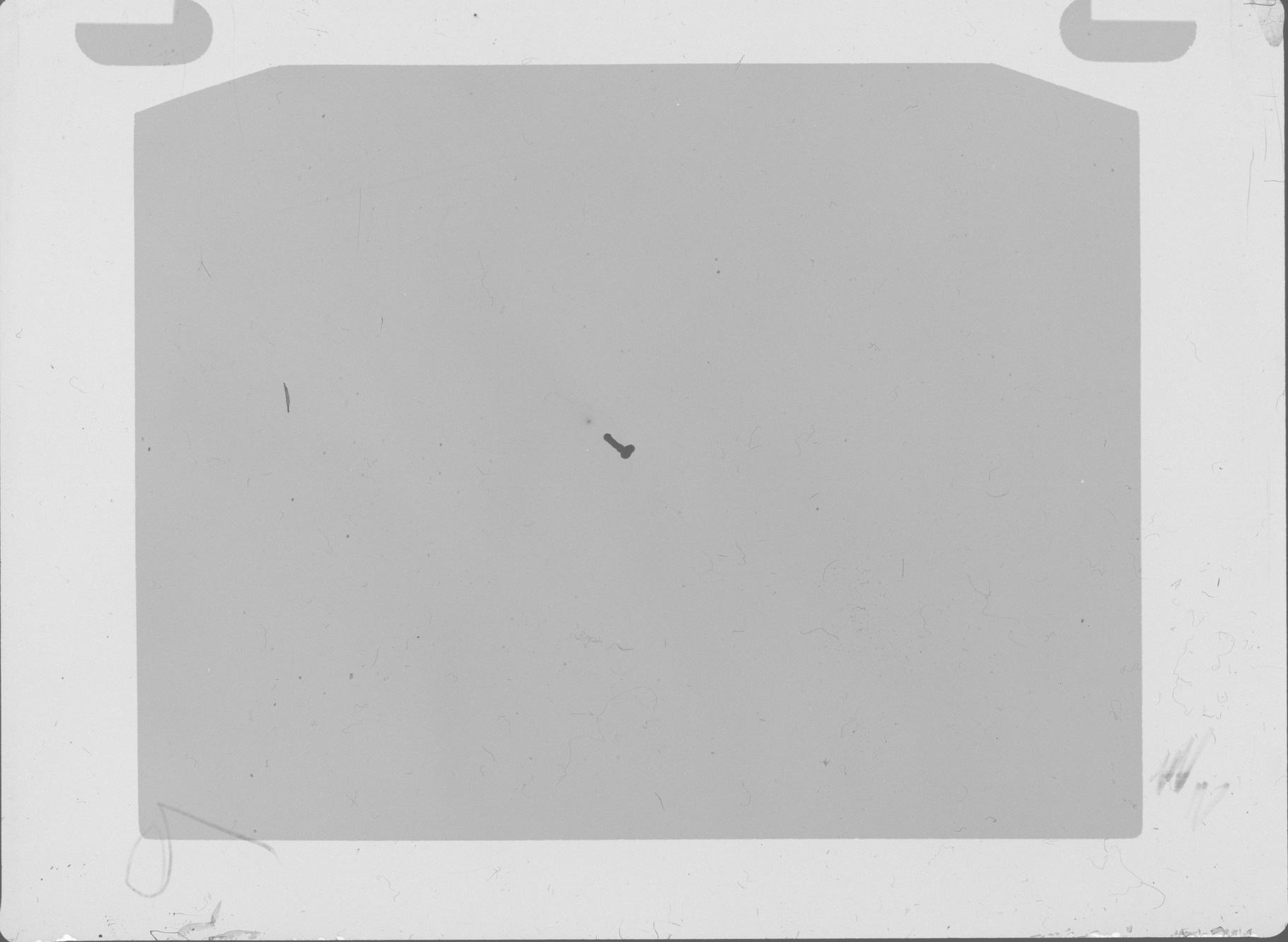 Plate preview