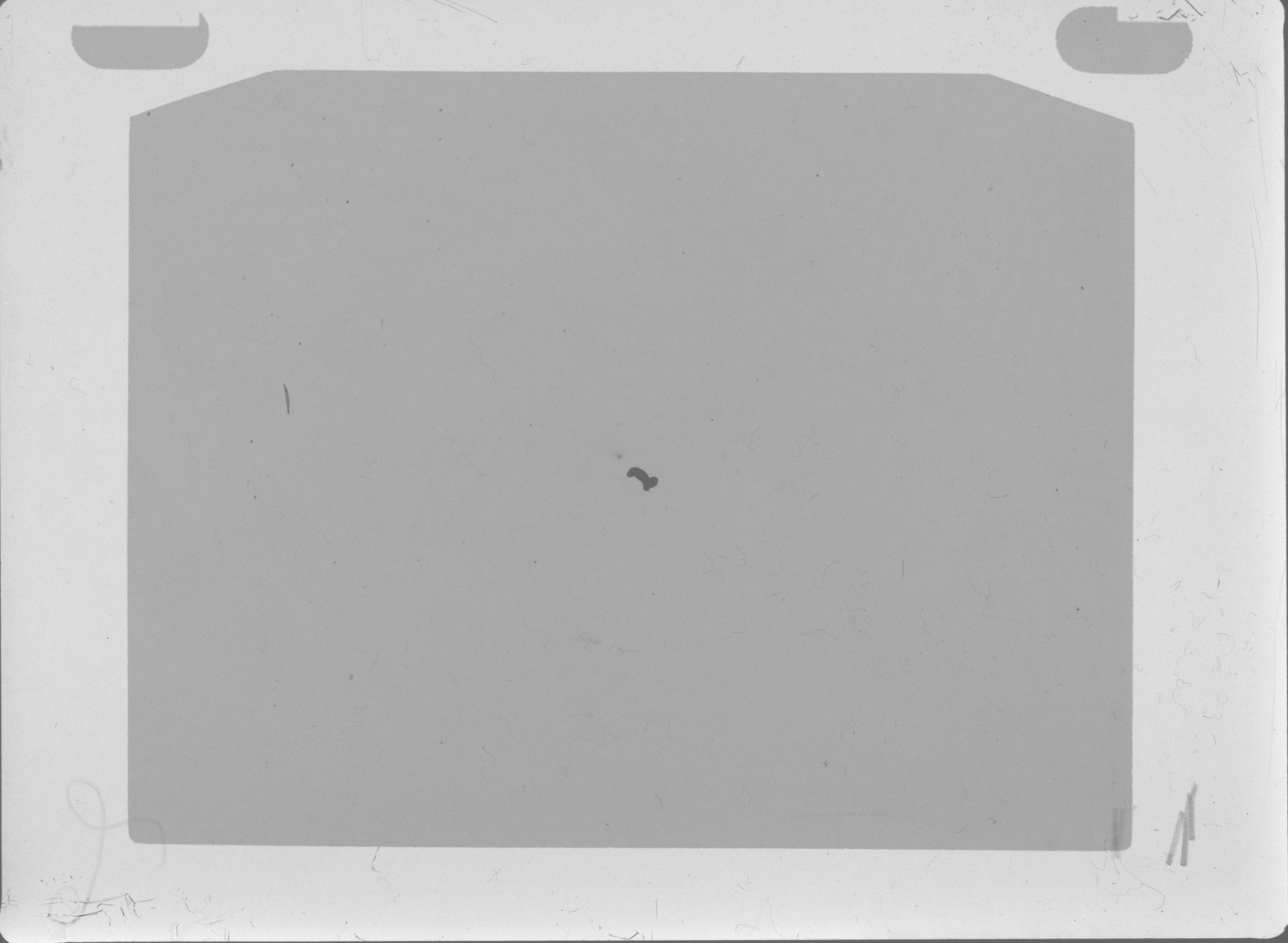Plate preview