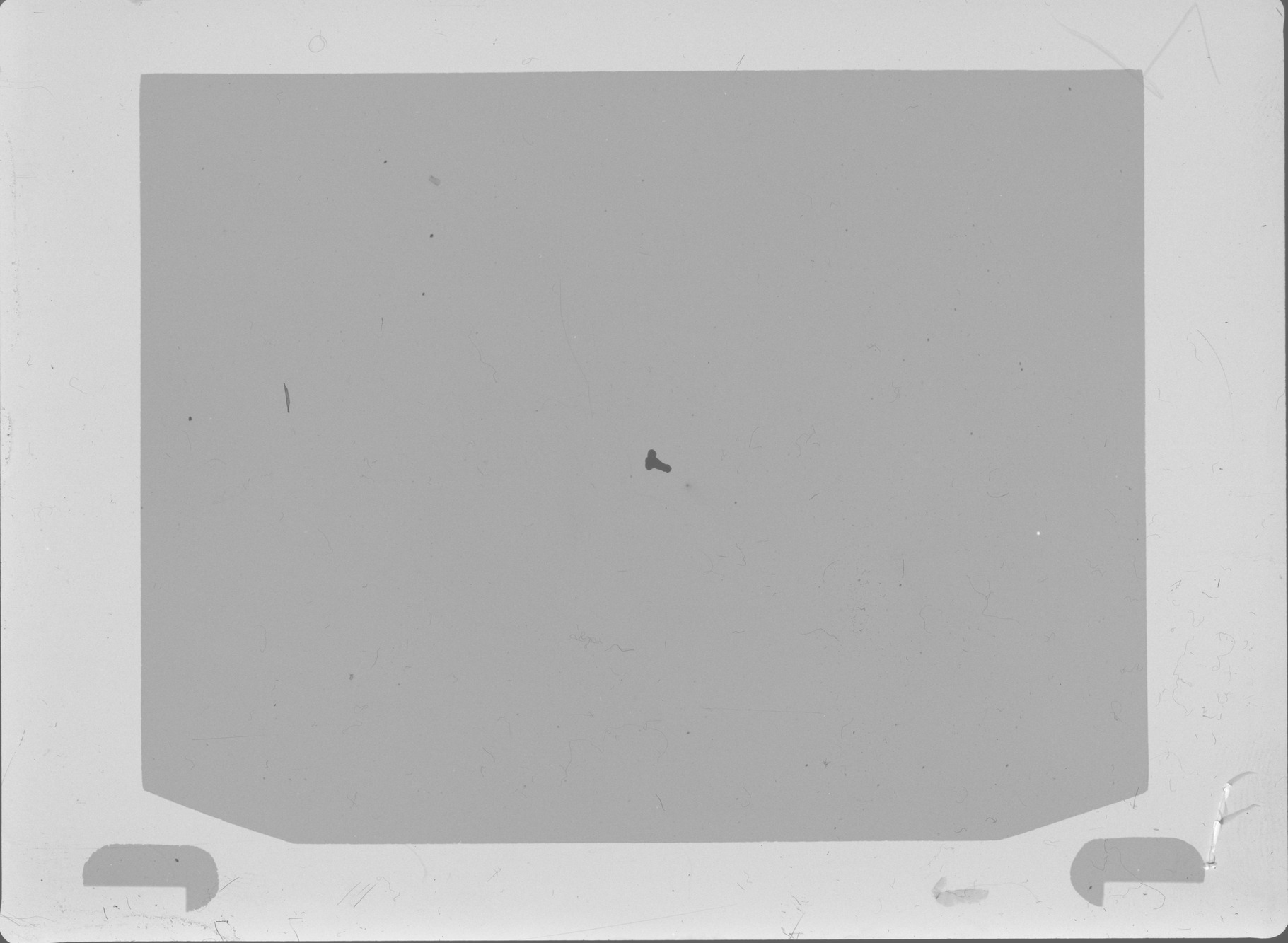 Plate preview