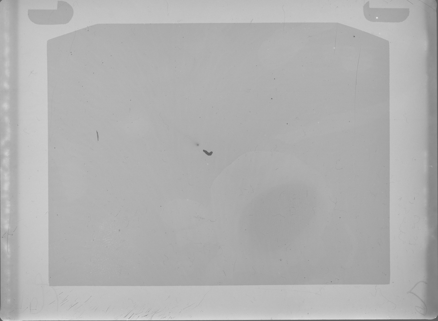 Plate preview